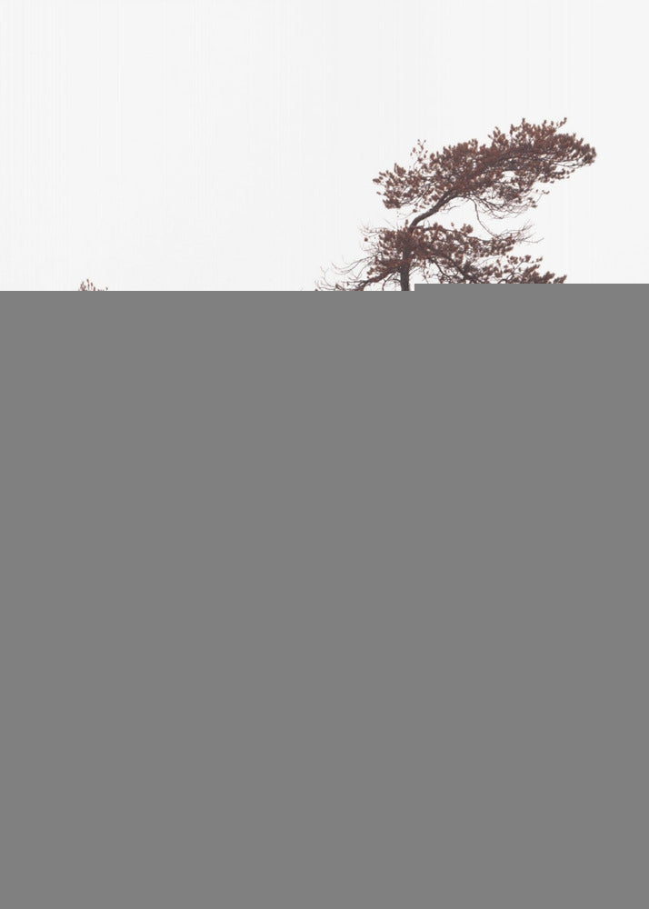 Sculpturale dennenposter