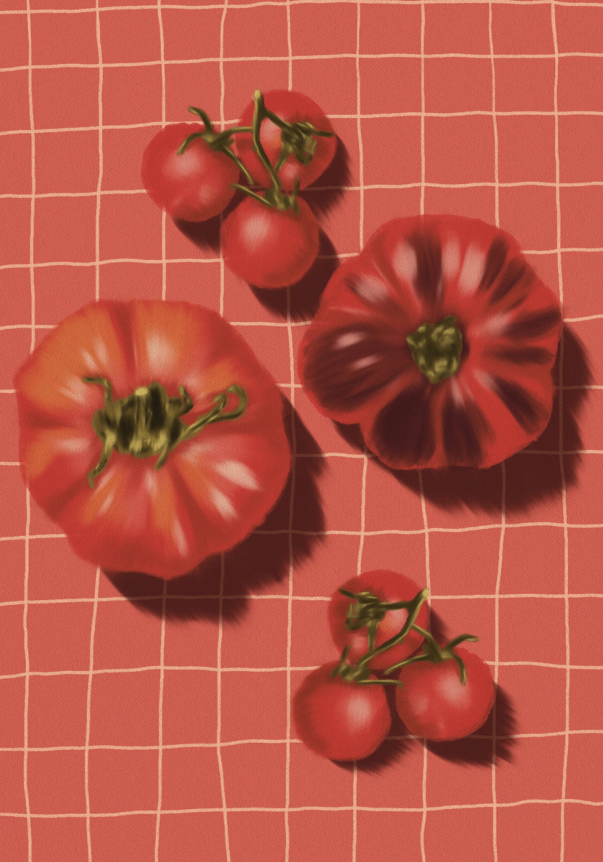 Rustieke rode tomaten