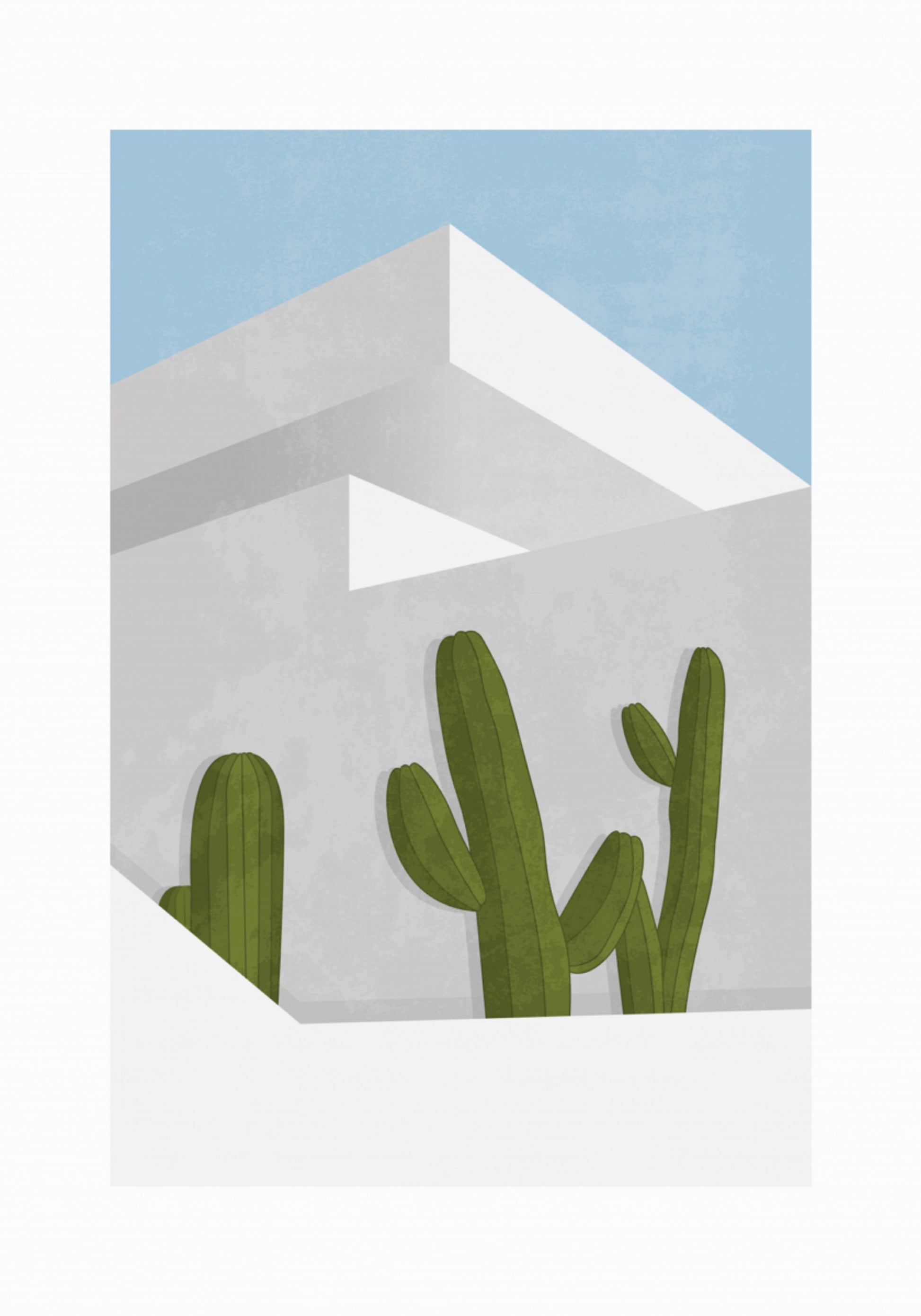 Minimalistische woestijncactussen