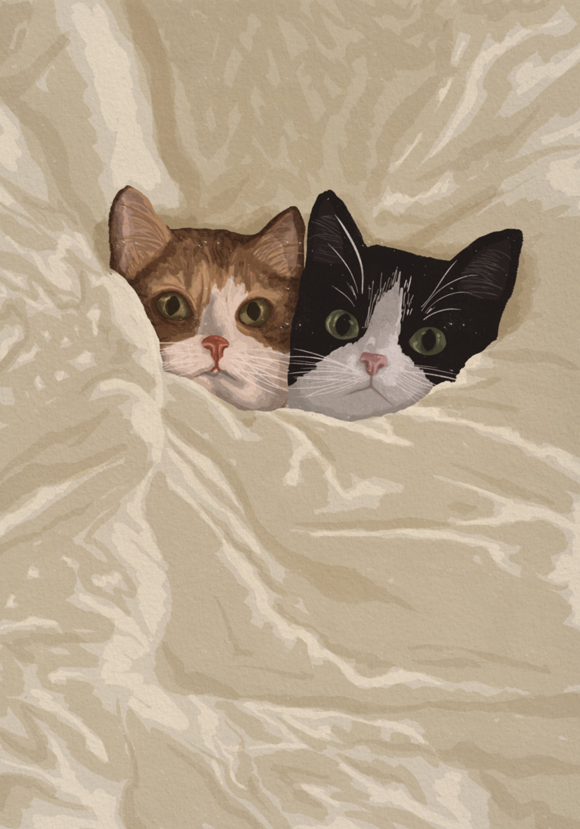 Gezellige katten die naar buiten gluren