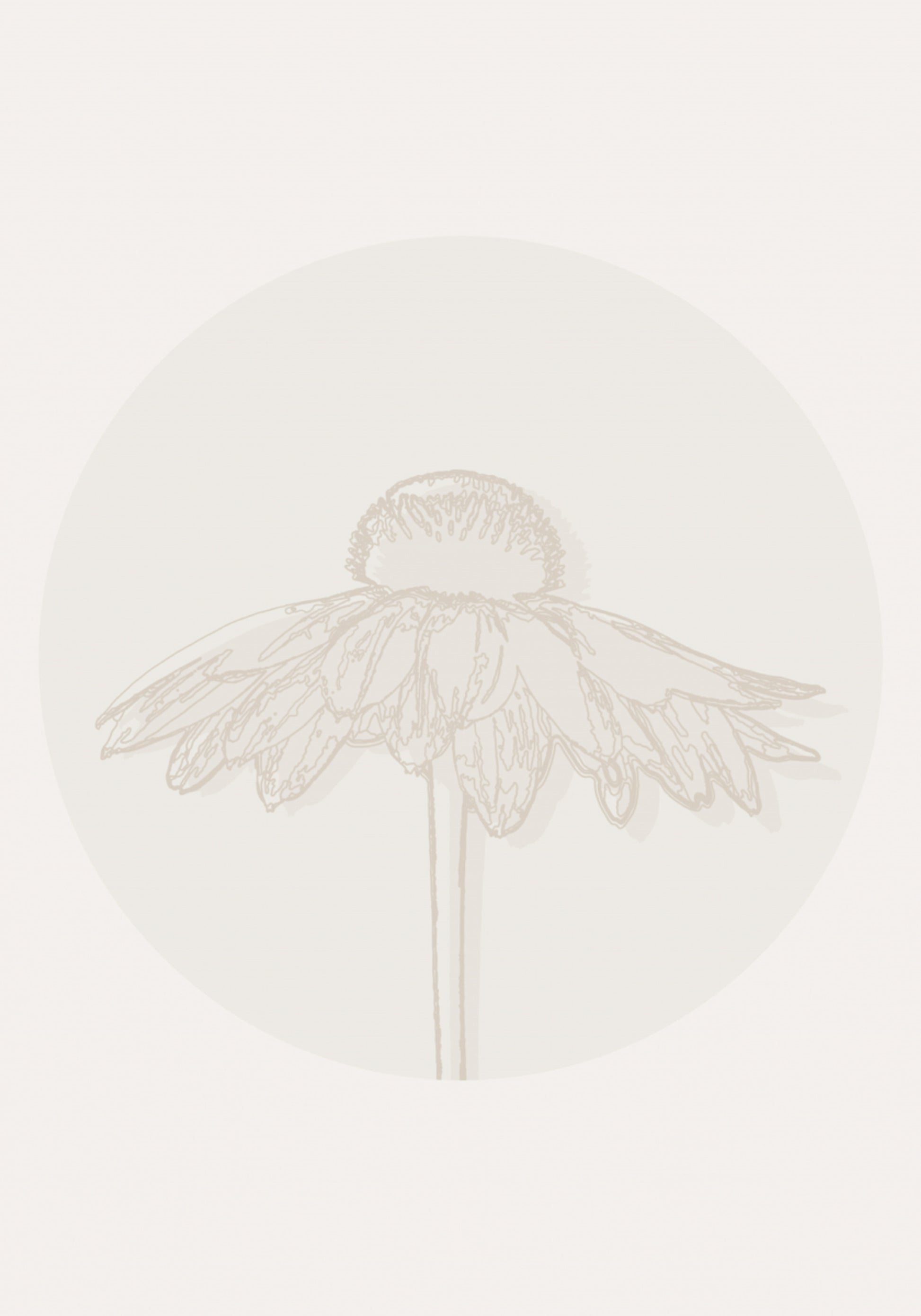 Minimalistische zonnehoedbloei