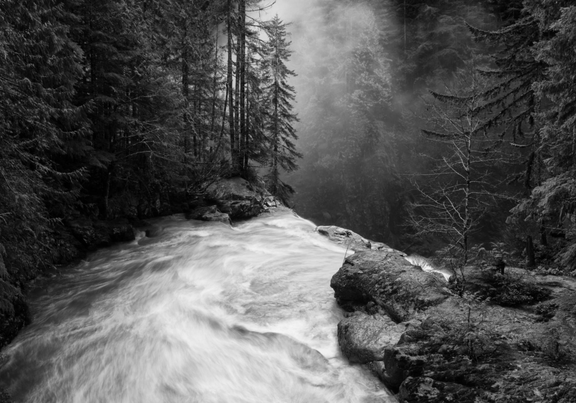 Mistige rivierstroom