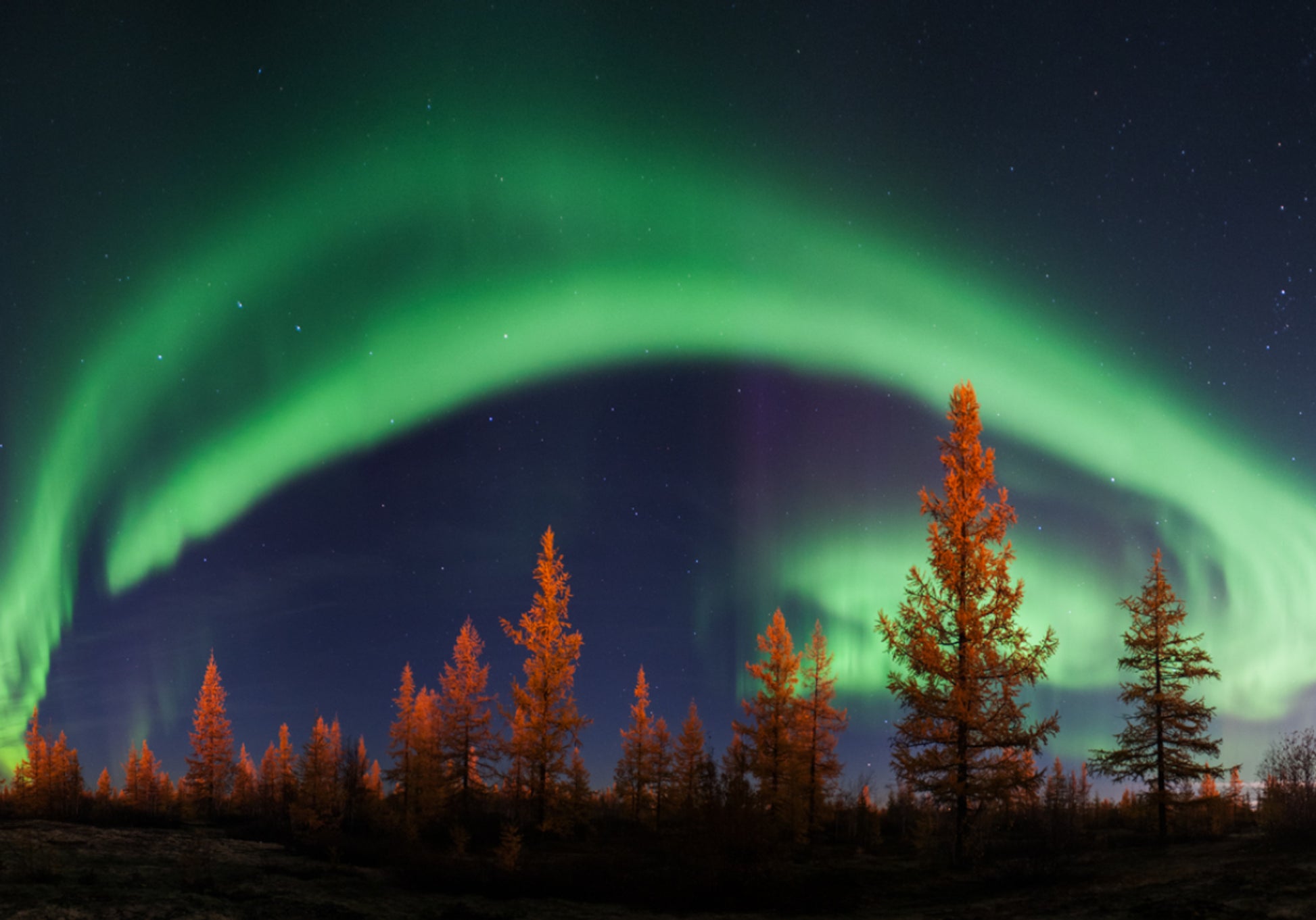 Levendige Aurora-nachthemel