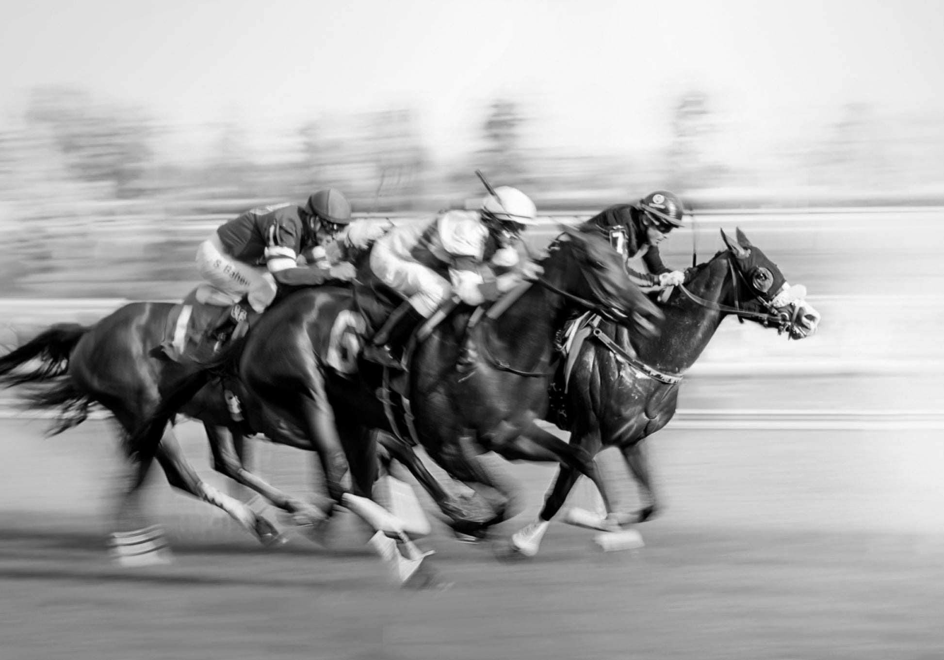 Galopperende renpaarden