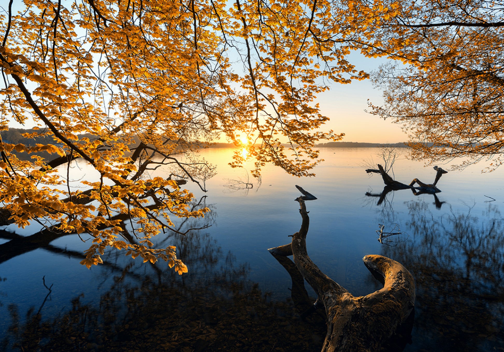 Gouden herfstmeerzonsopgang