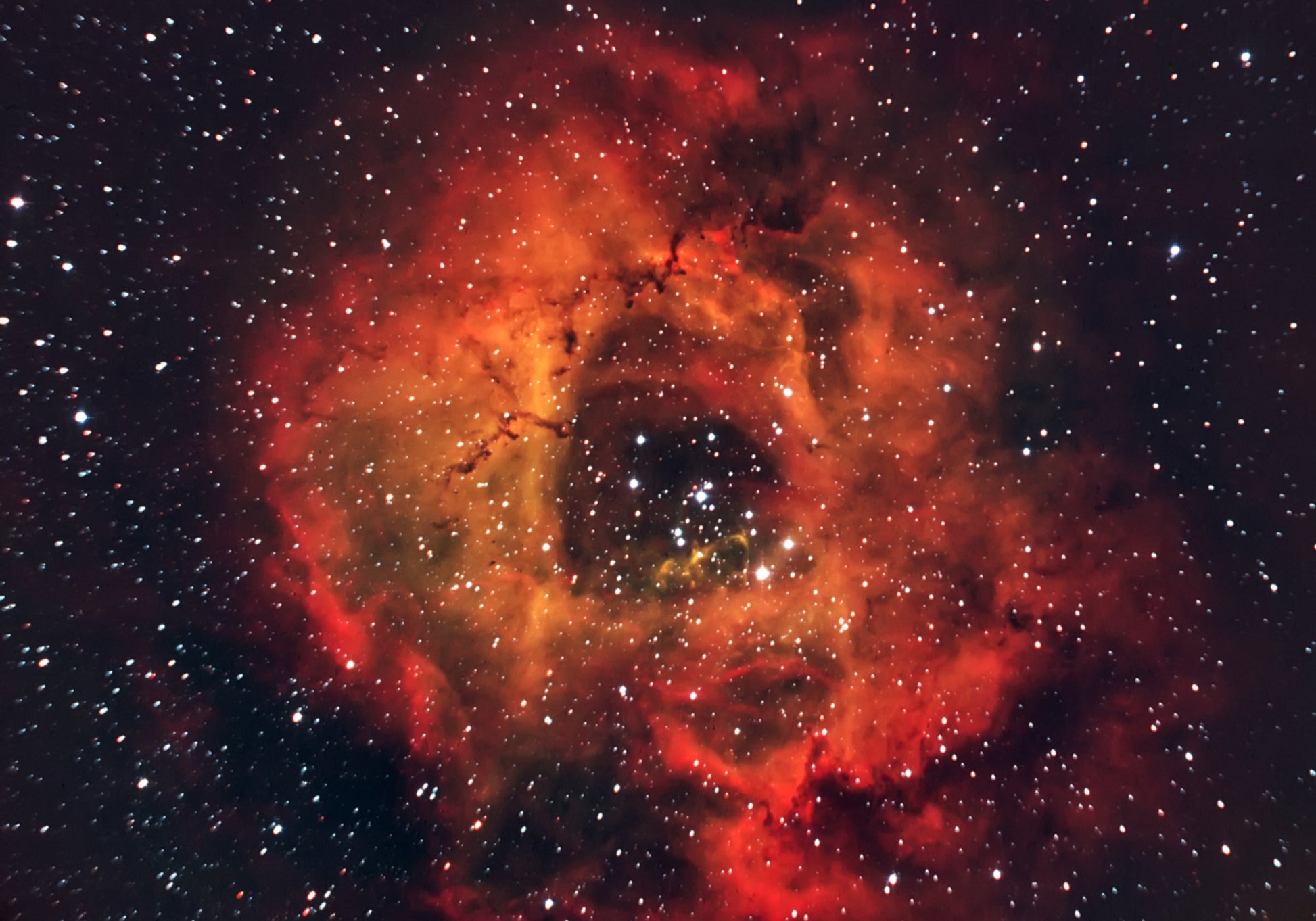 Kosmische Rozennevel