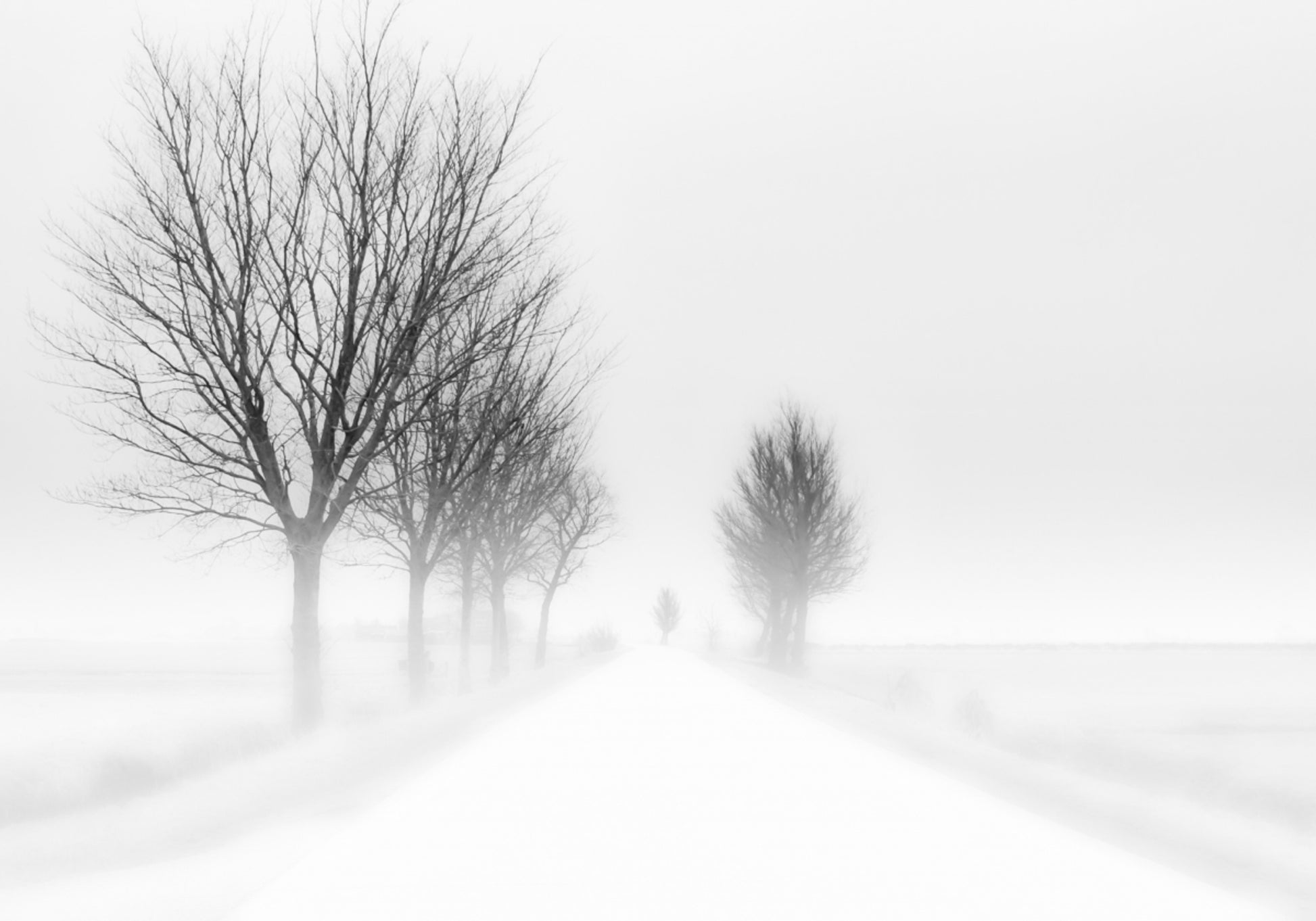 Mistige Winterweg