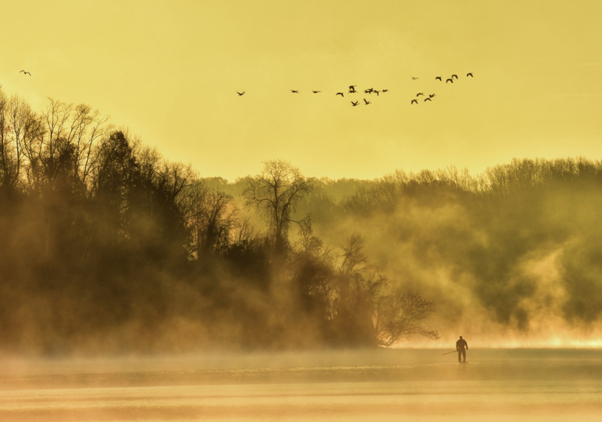 Gouden mist eenzame figuur