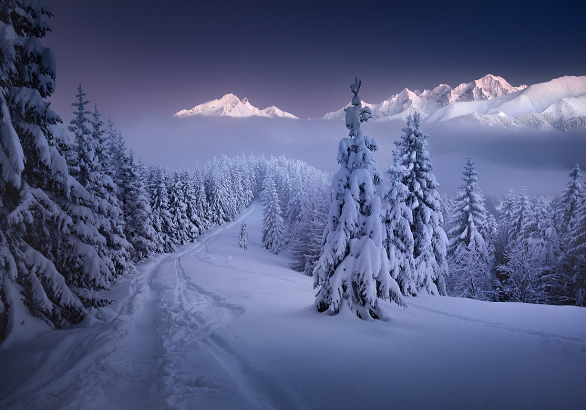 Winter bos bergpad