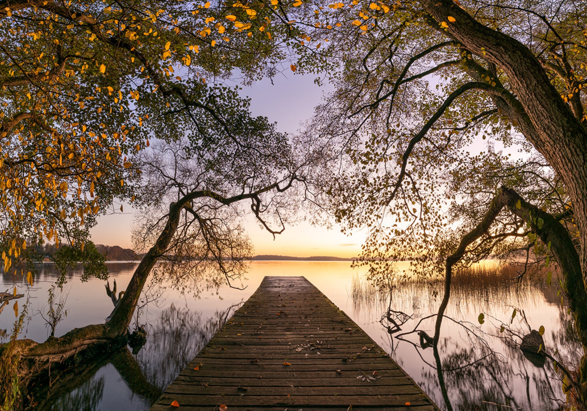 Gouden Herfstpier