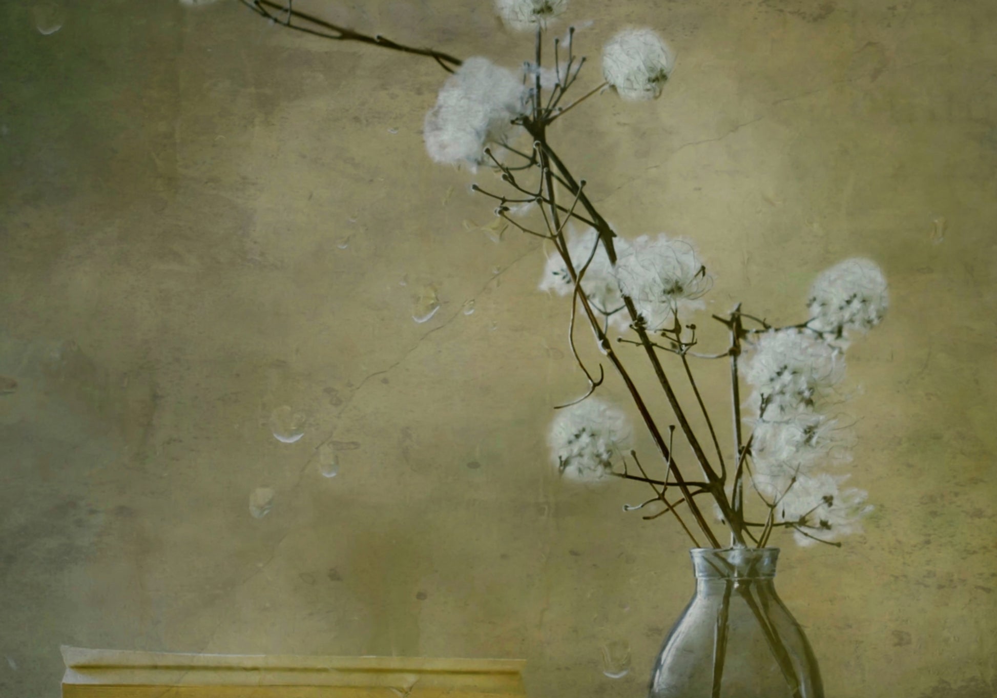 Serene pluizige bloemen
