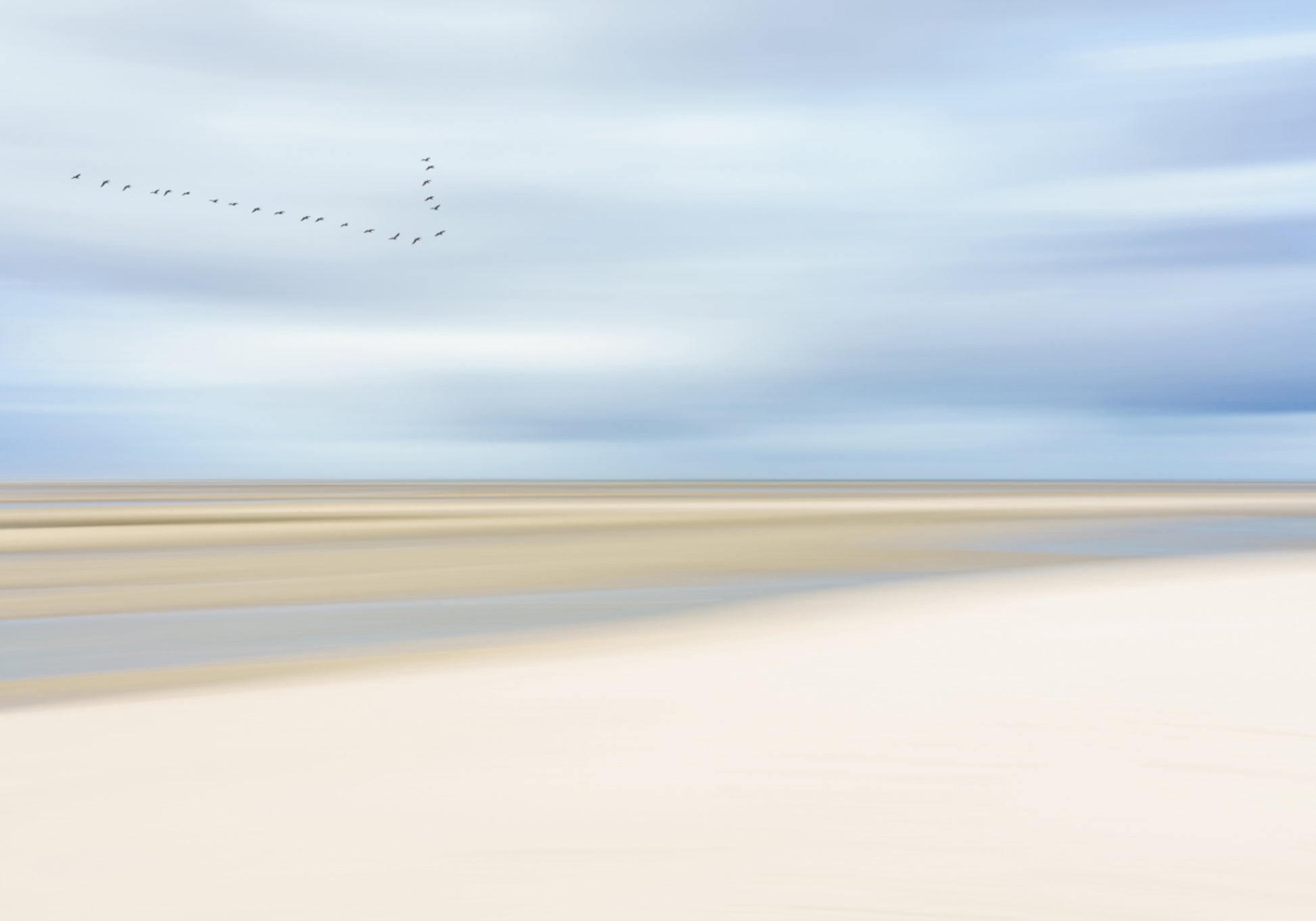Vogels Over Serene Kust