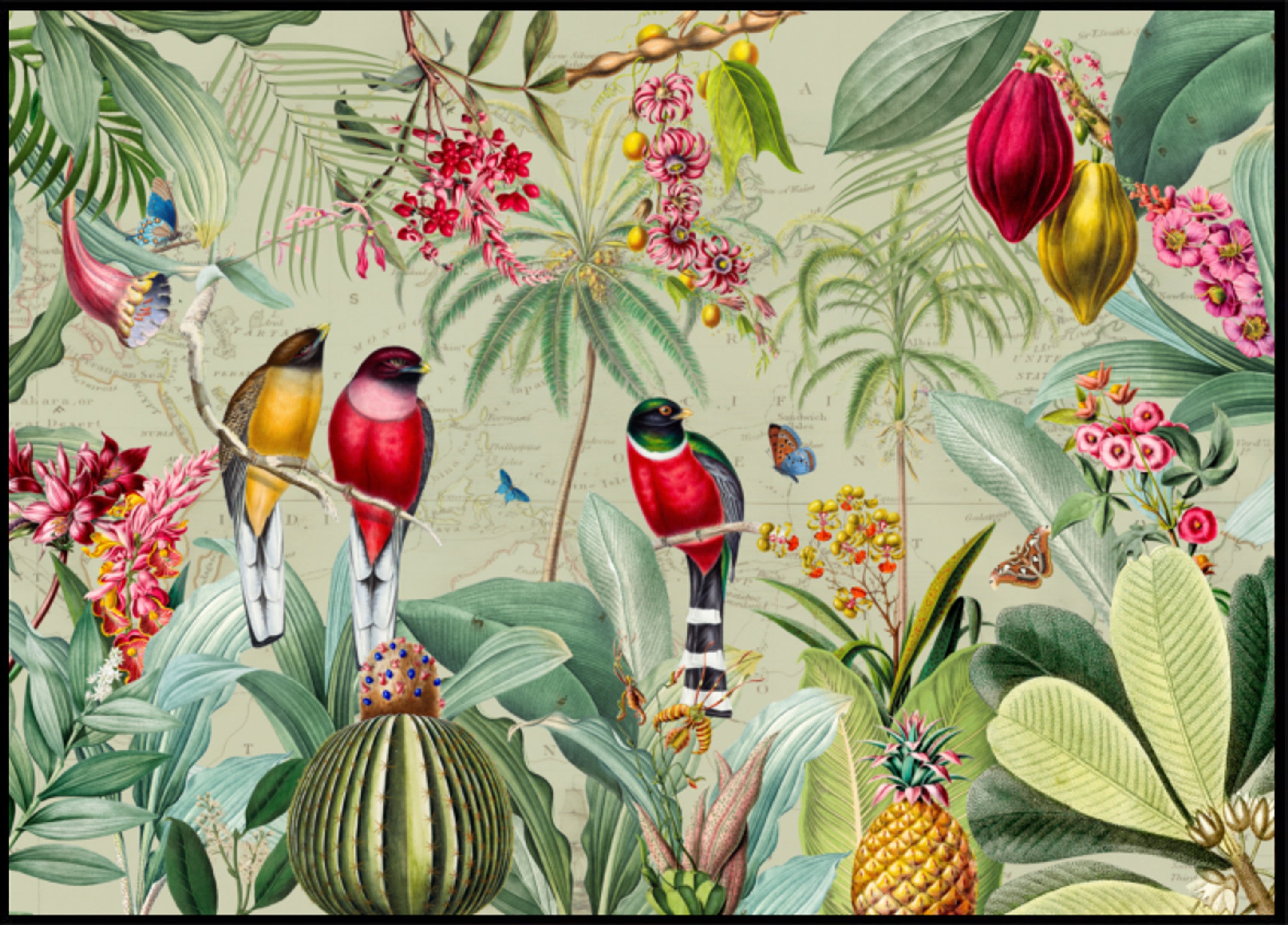 Tropische junglevogels