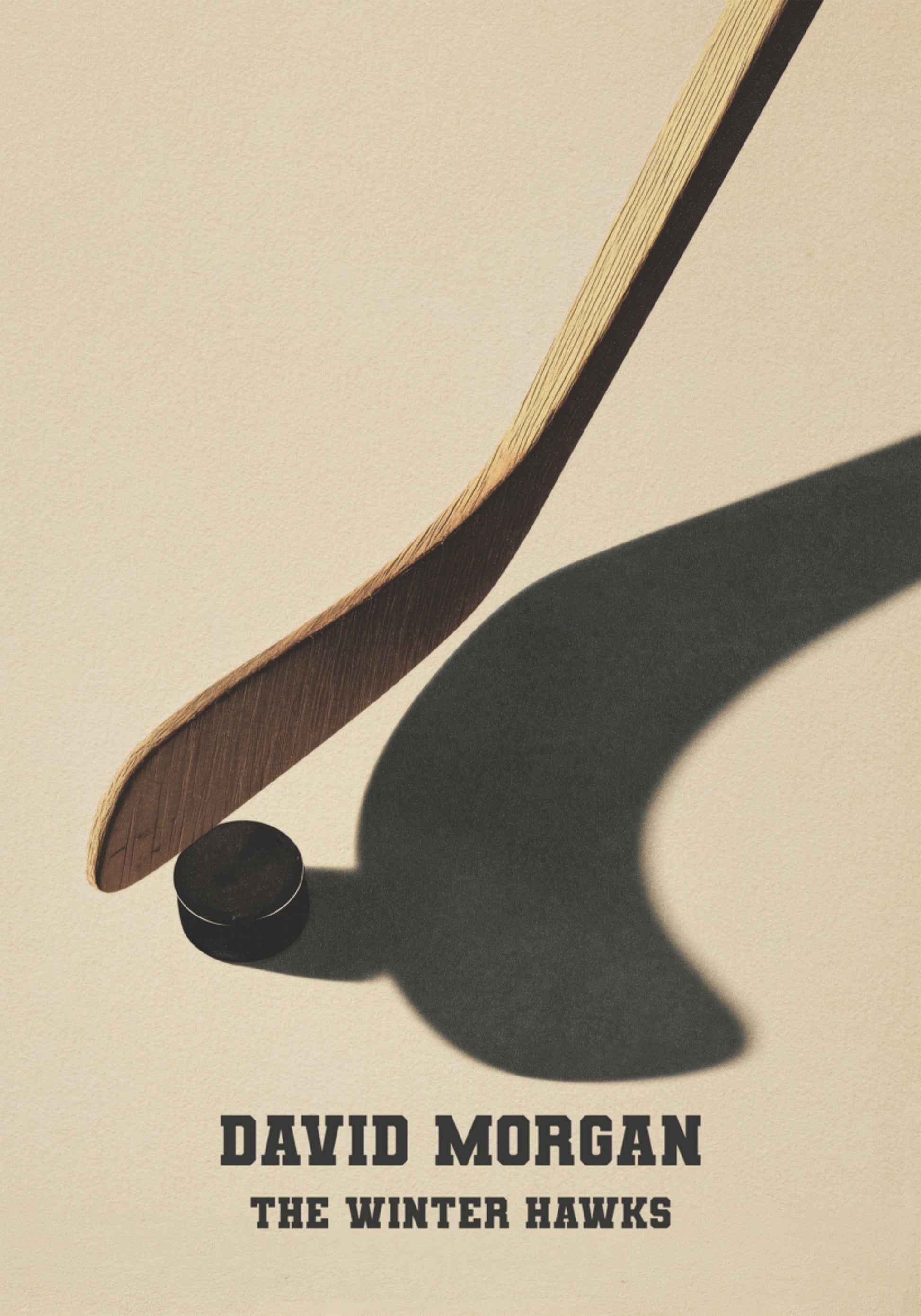 Vintage hockeyschoen en puck-schaduwticket