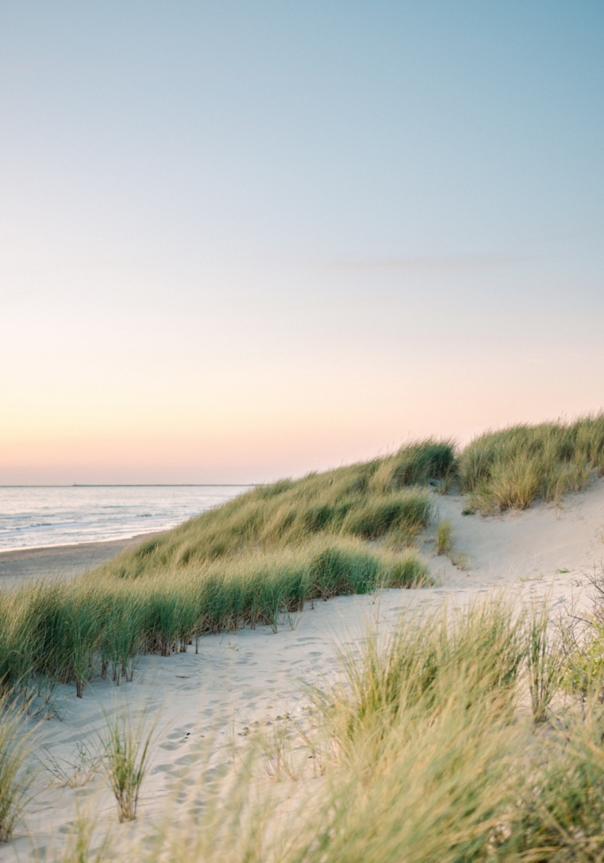 Nederlandse Duinen
