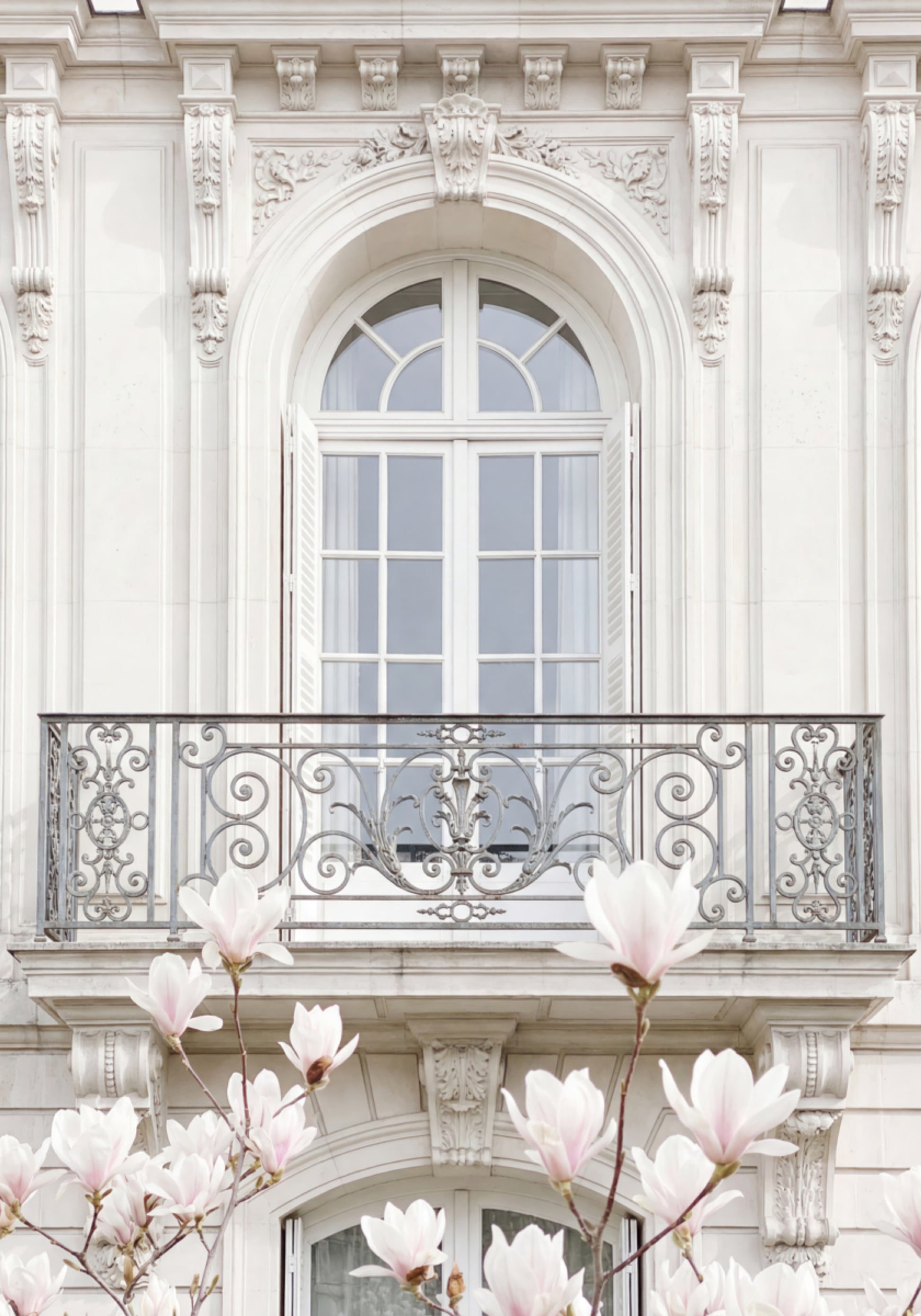 Magnolia's met witte gevel