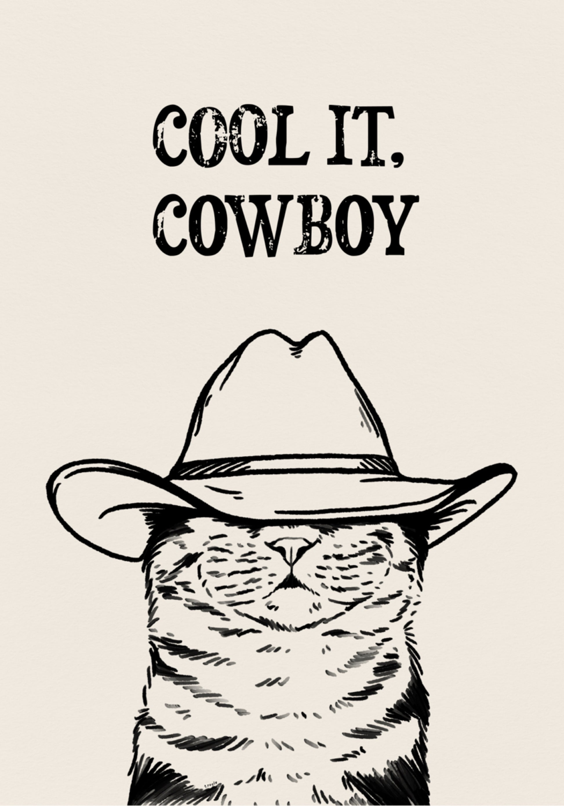 Cool It Cowboykat