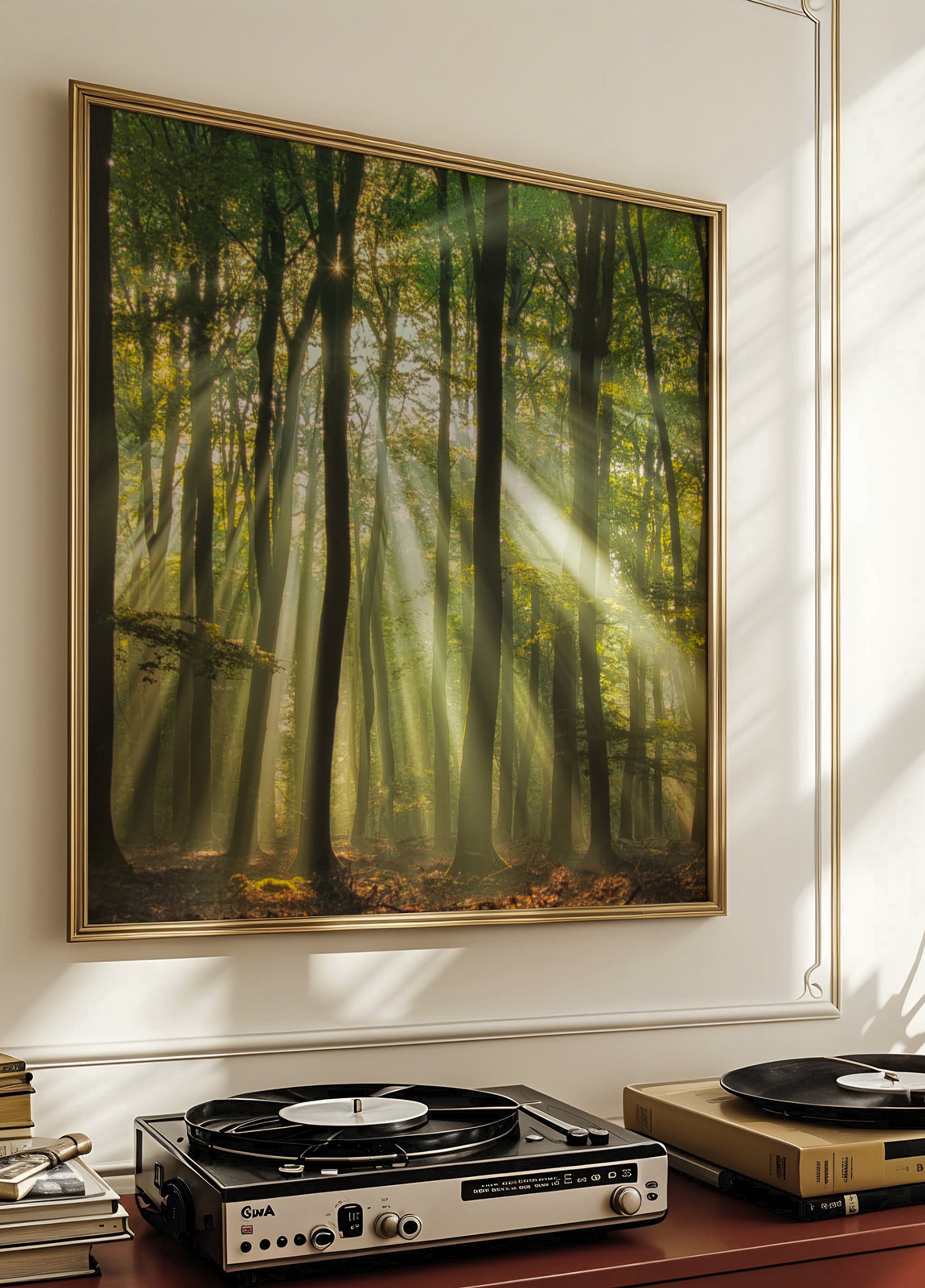 Mistig ochtendzonovergoten bos