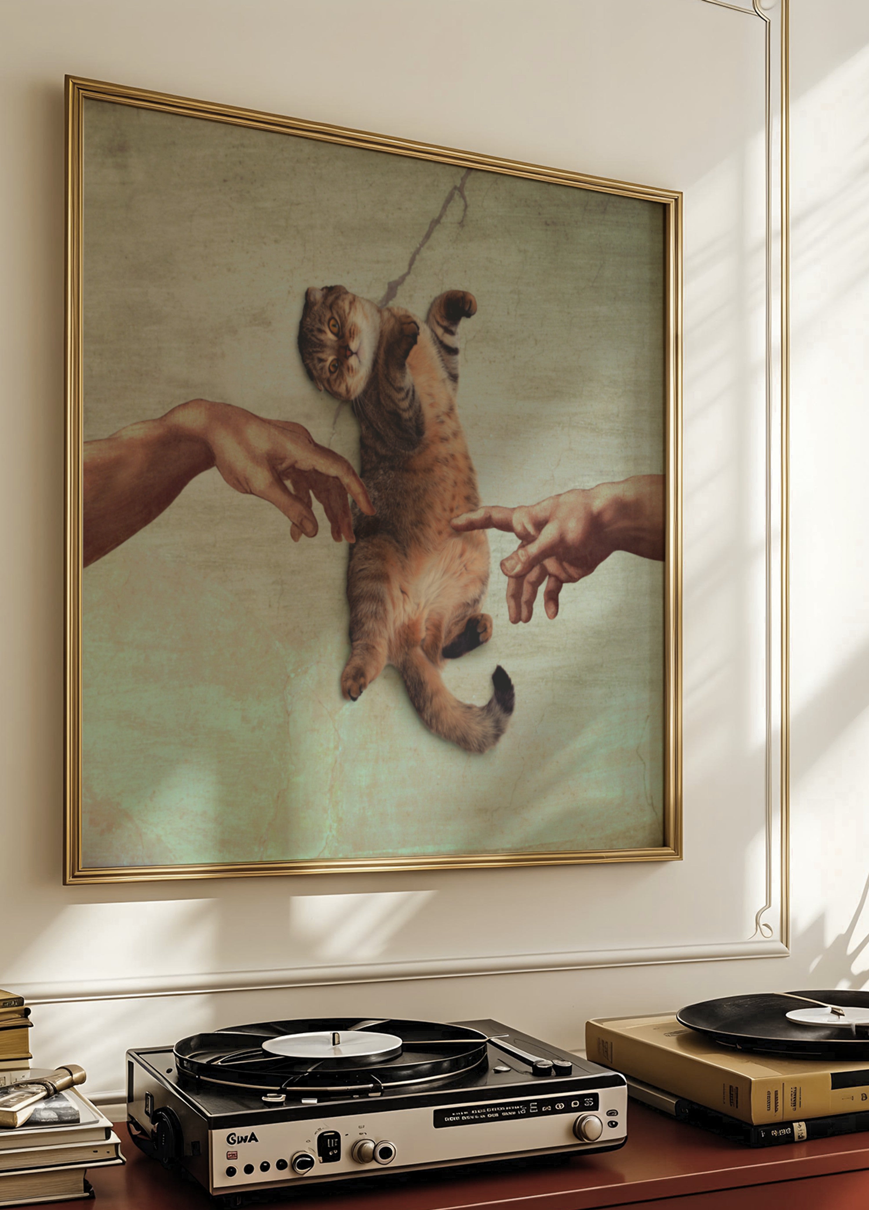 De schepping van Kat