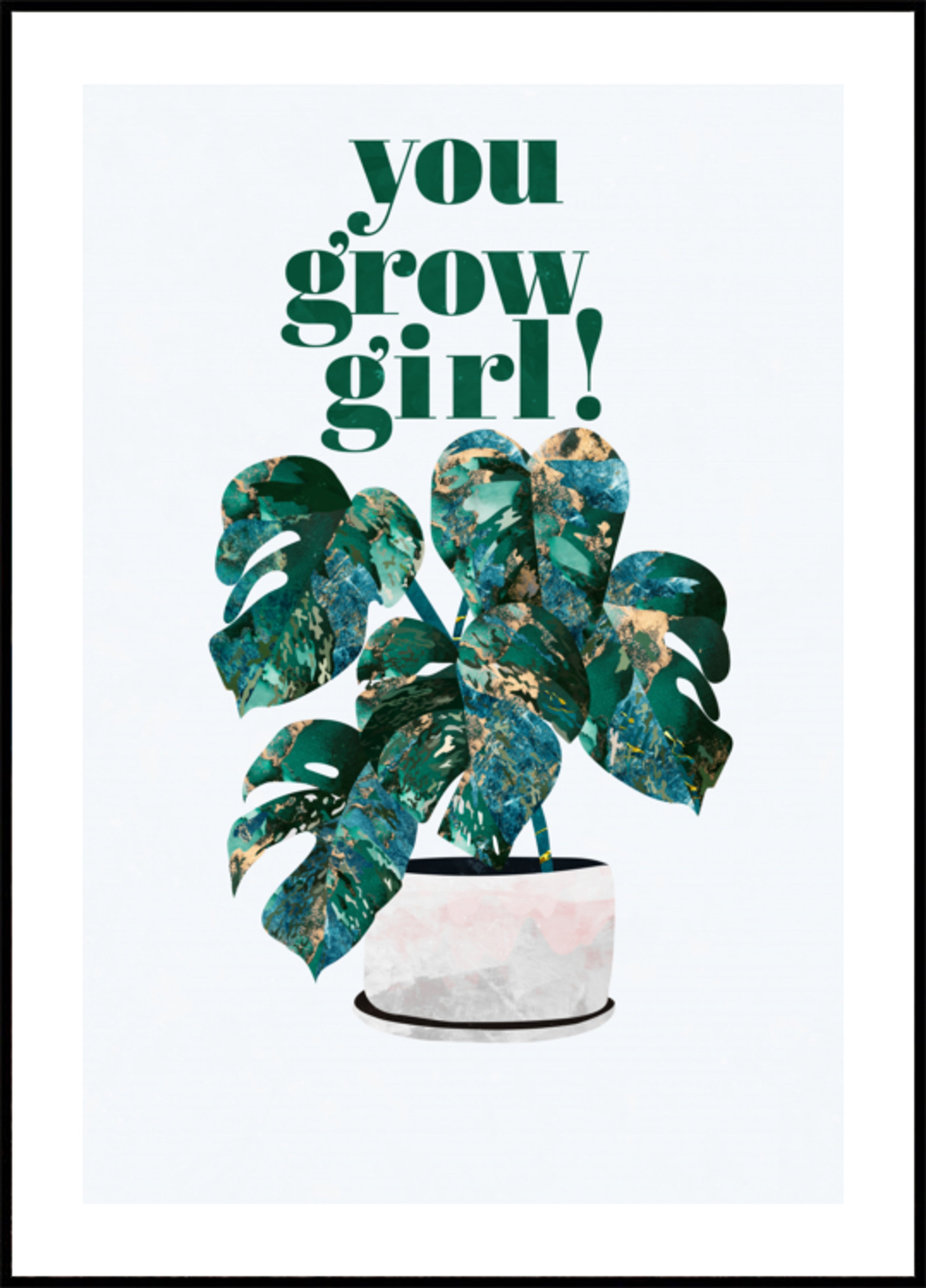 Jij kweekt meisje Monstera