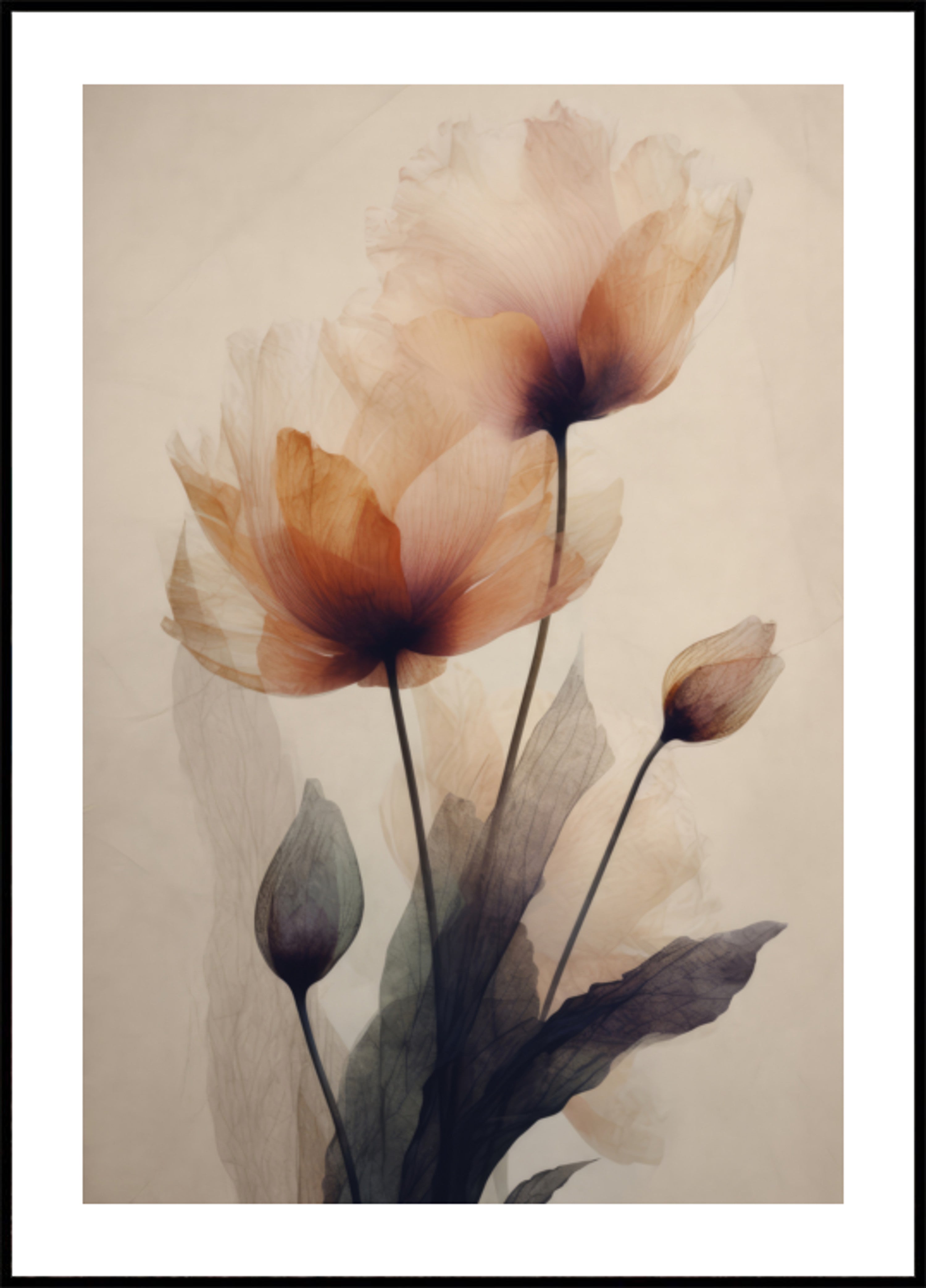 Delicate bloeidans
