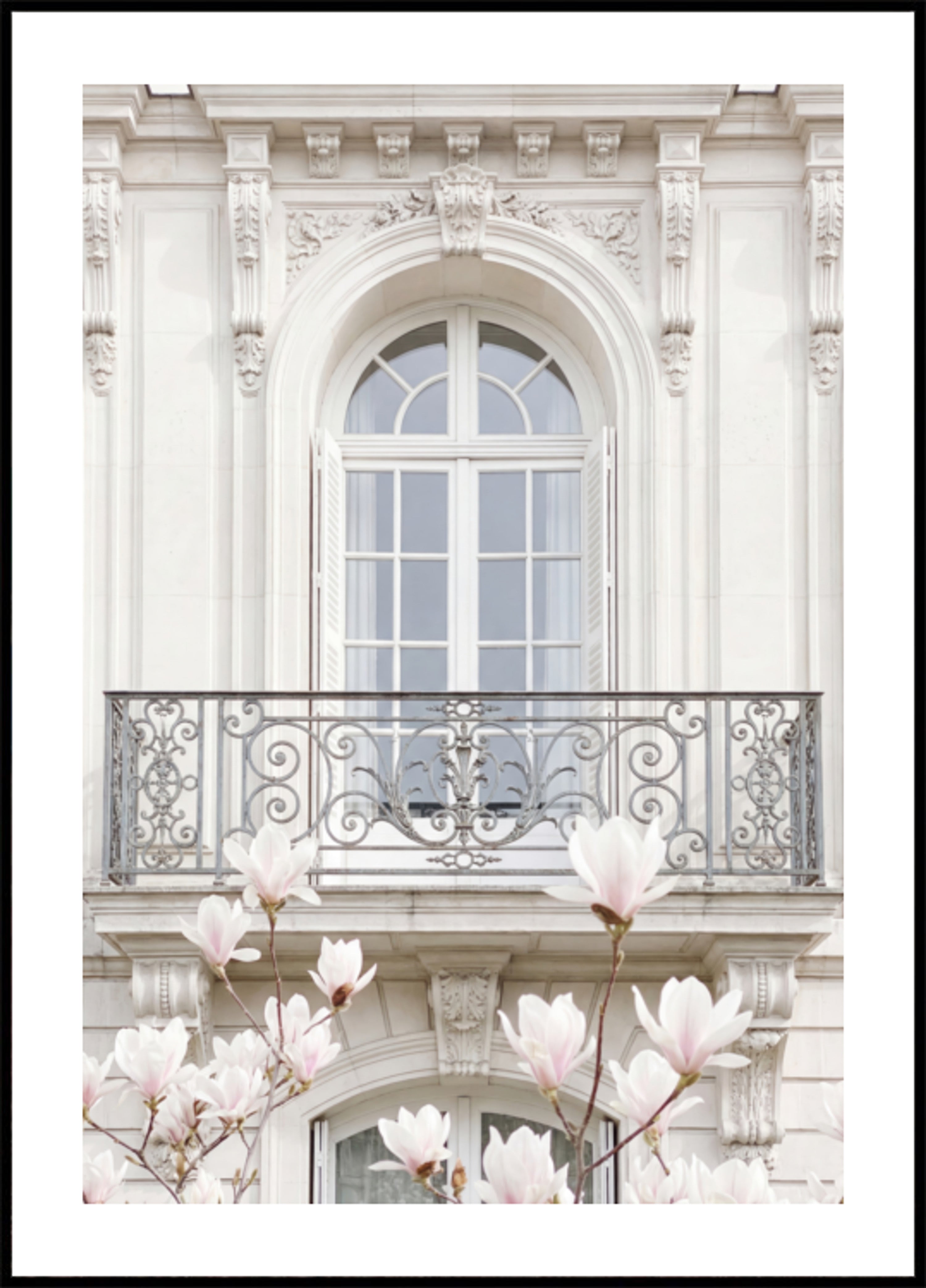 Magnolia's met witte gevel