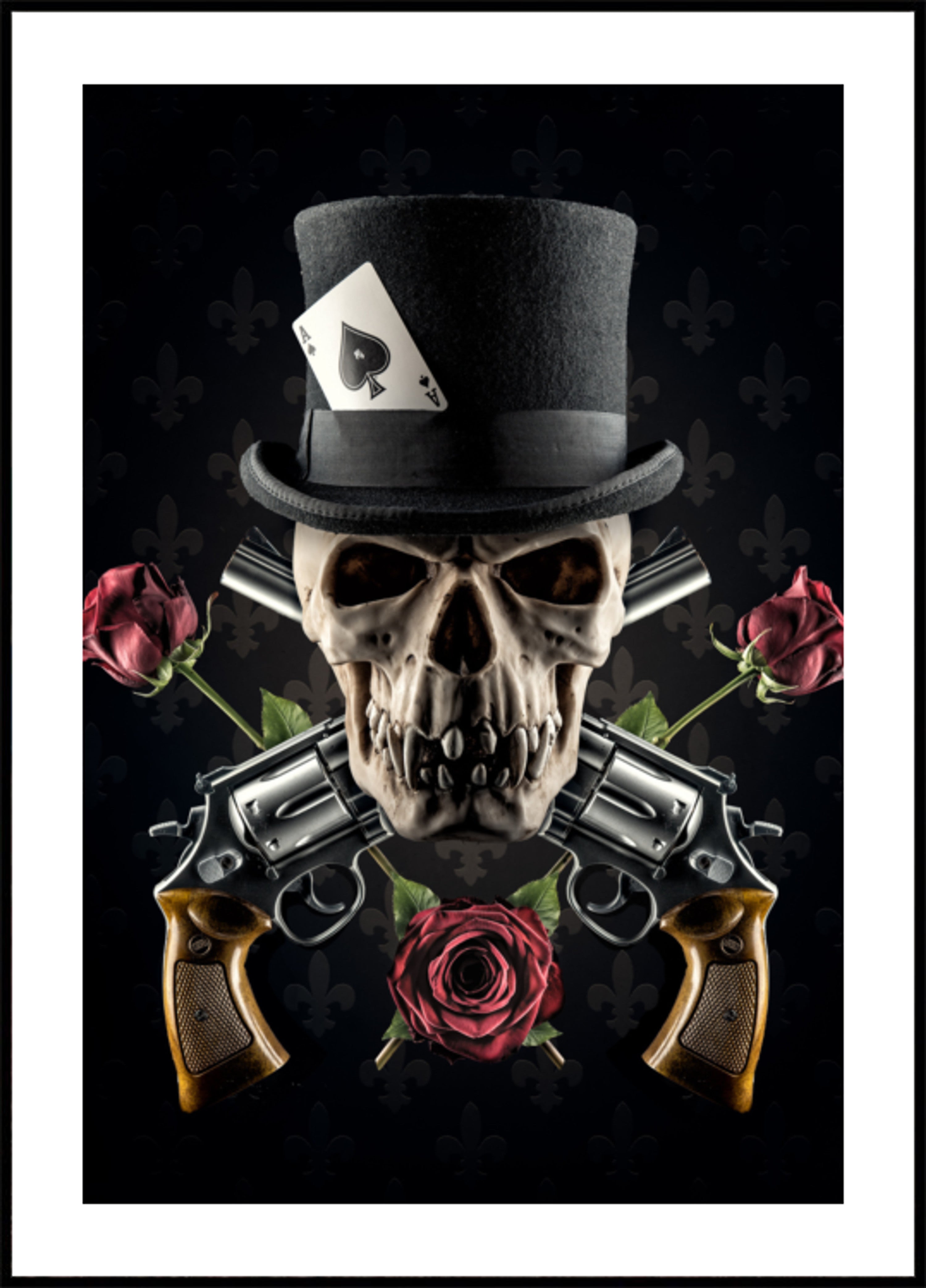 Elegante scherpschutterschedel