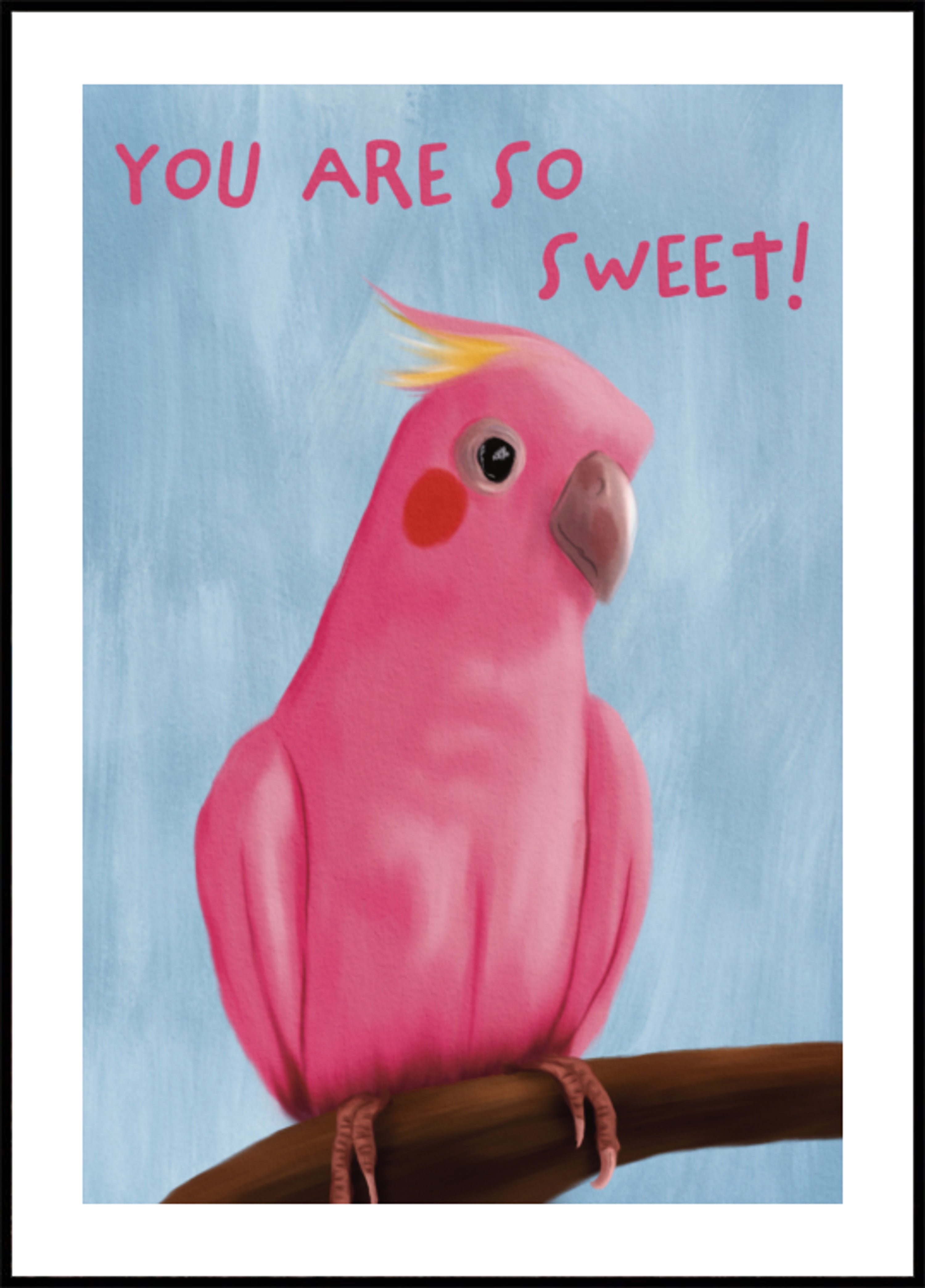 Zoet roze Galah