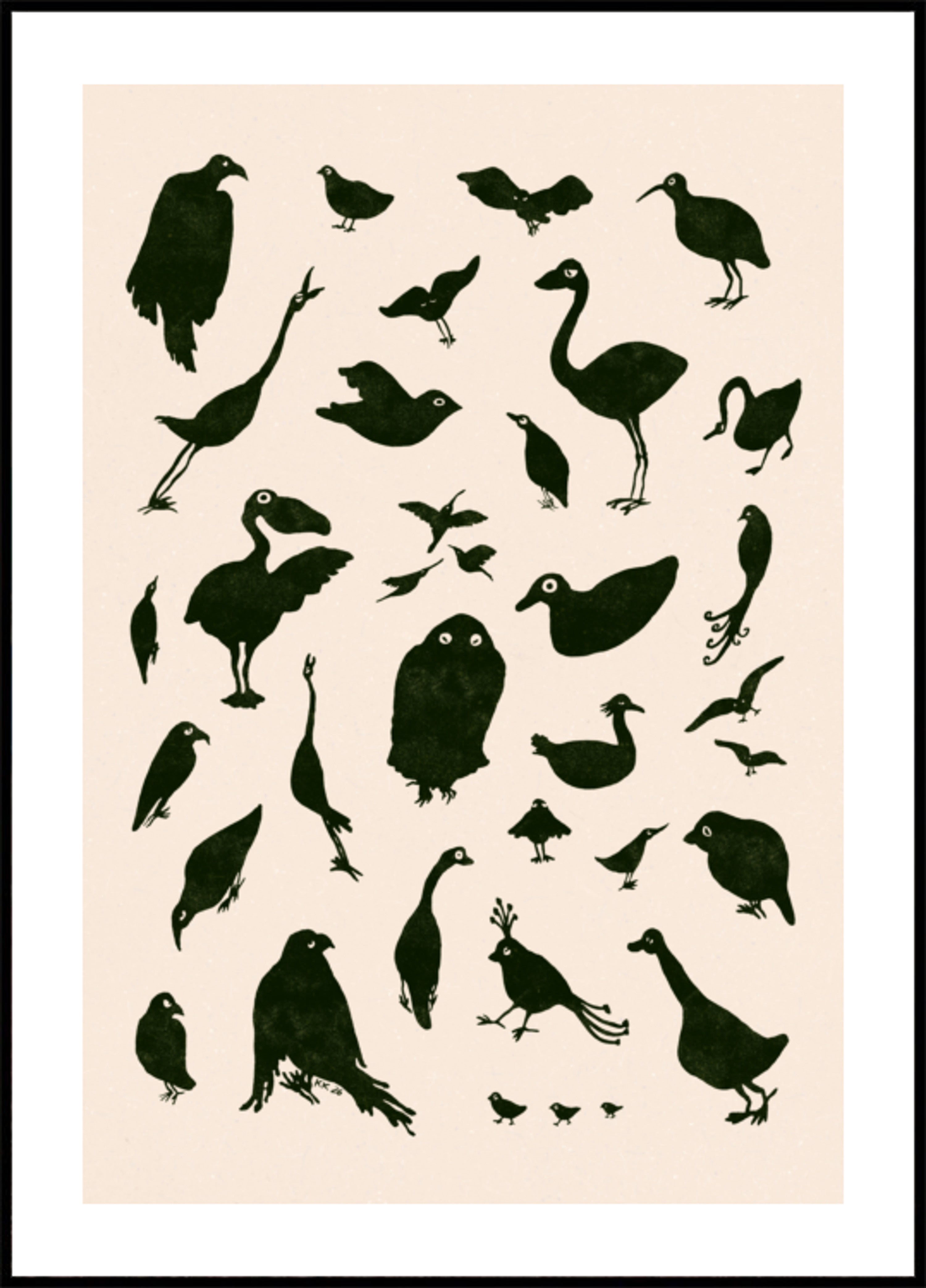 Verschillende vogelsilhouetten