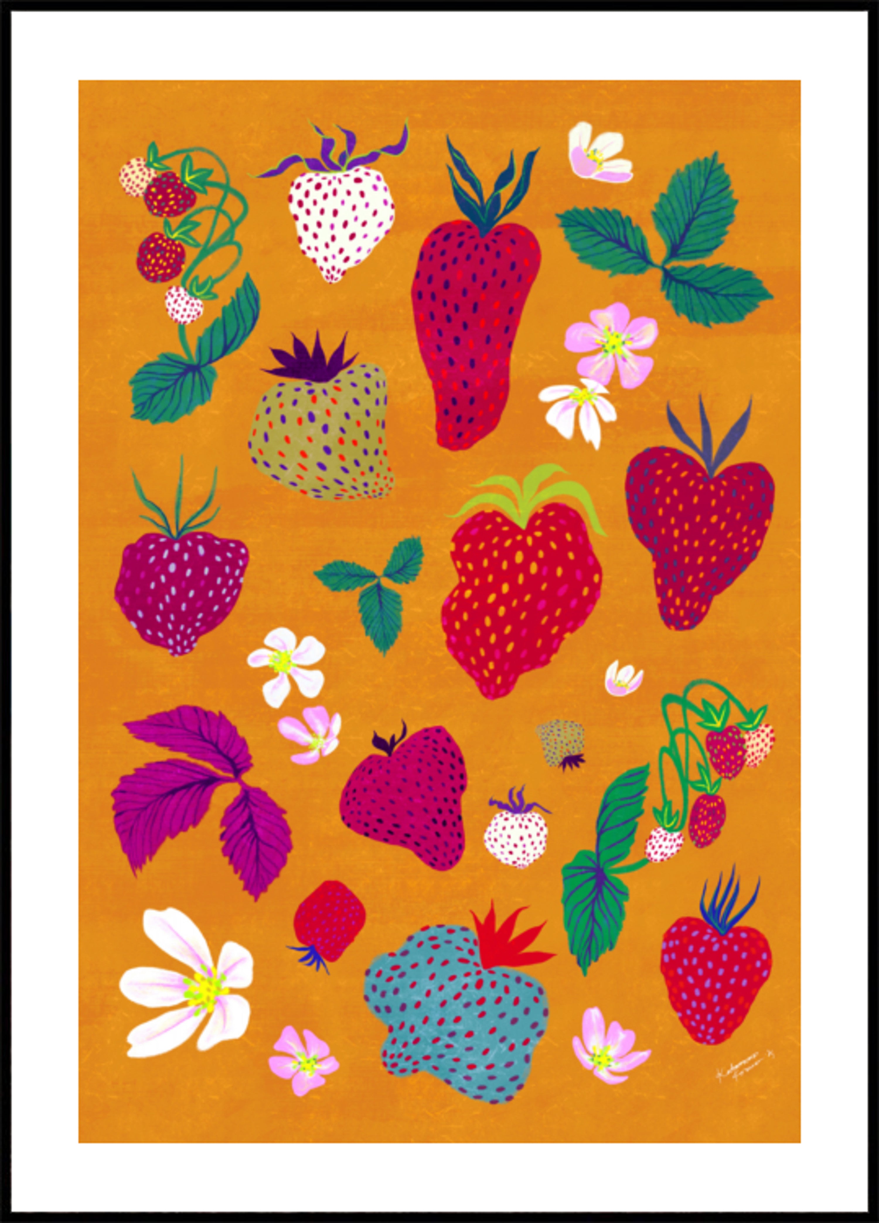 Kleurrijke Aardbeienpatch