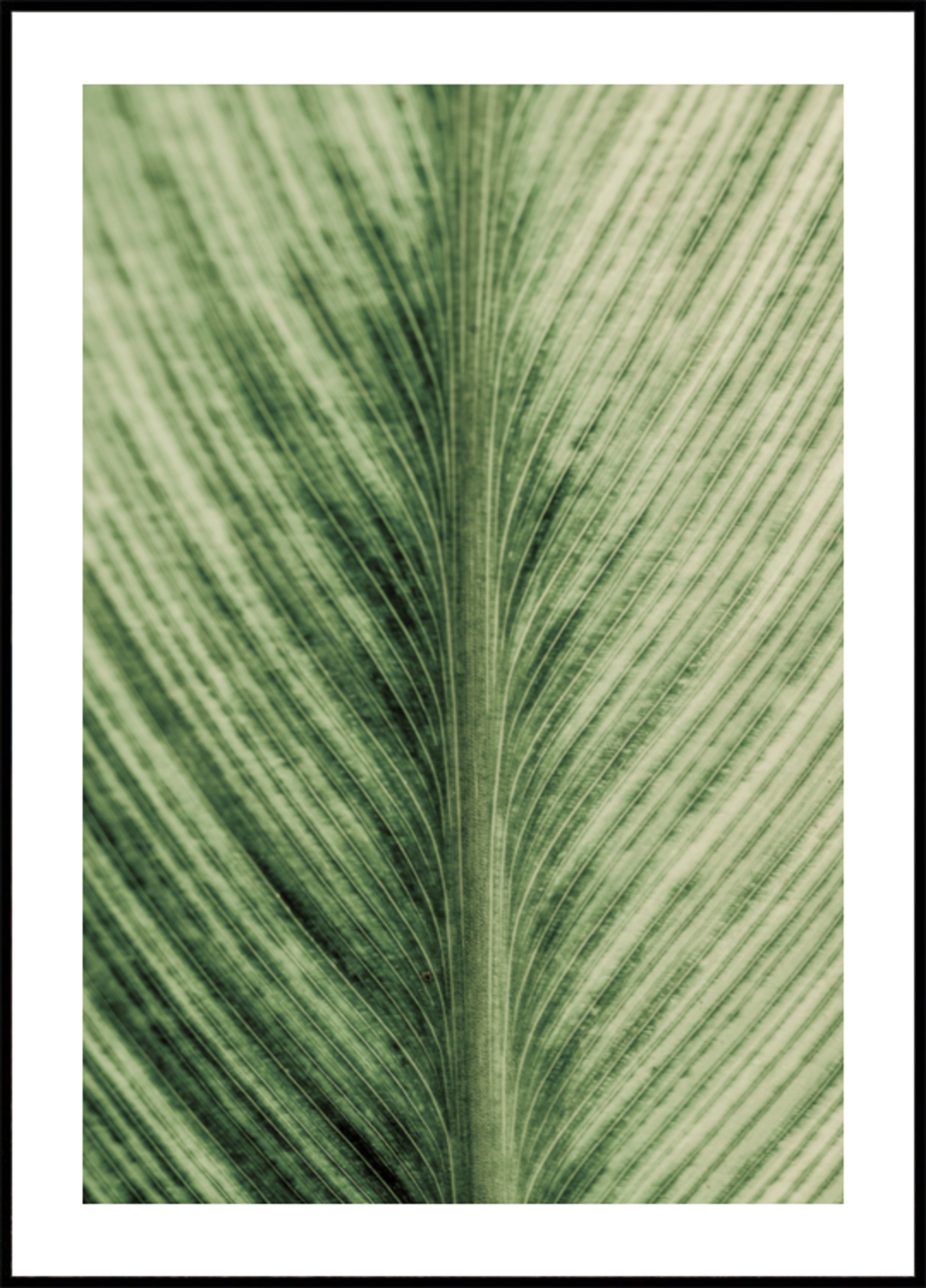 Groene aderen