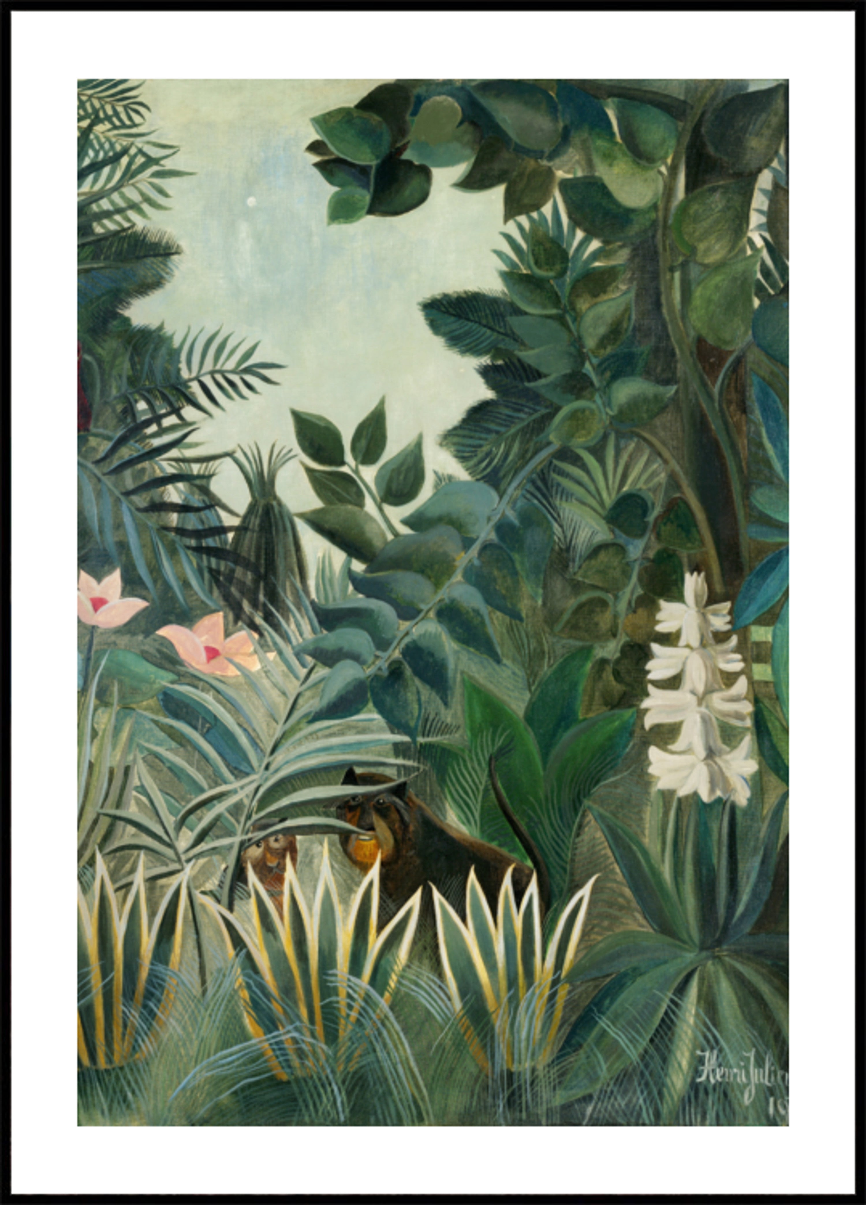 De Equatoriale Jungle