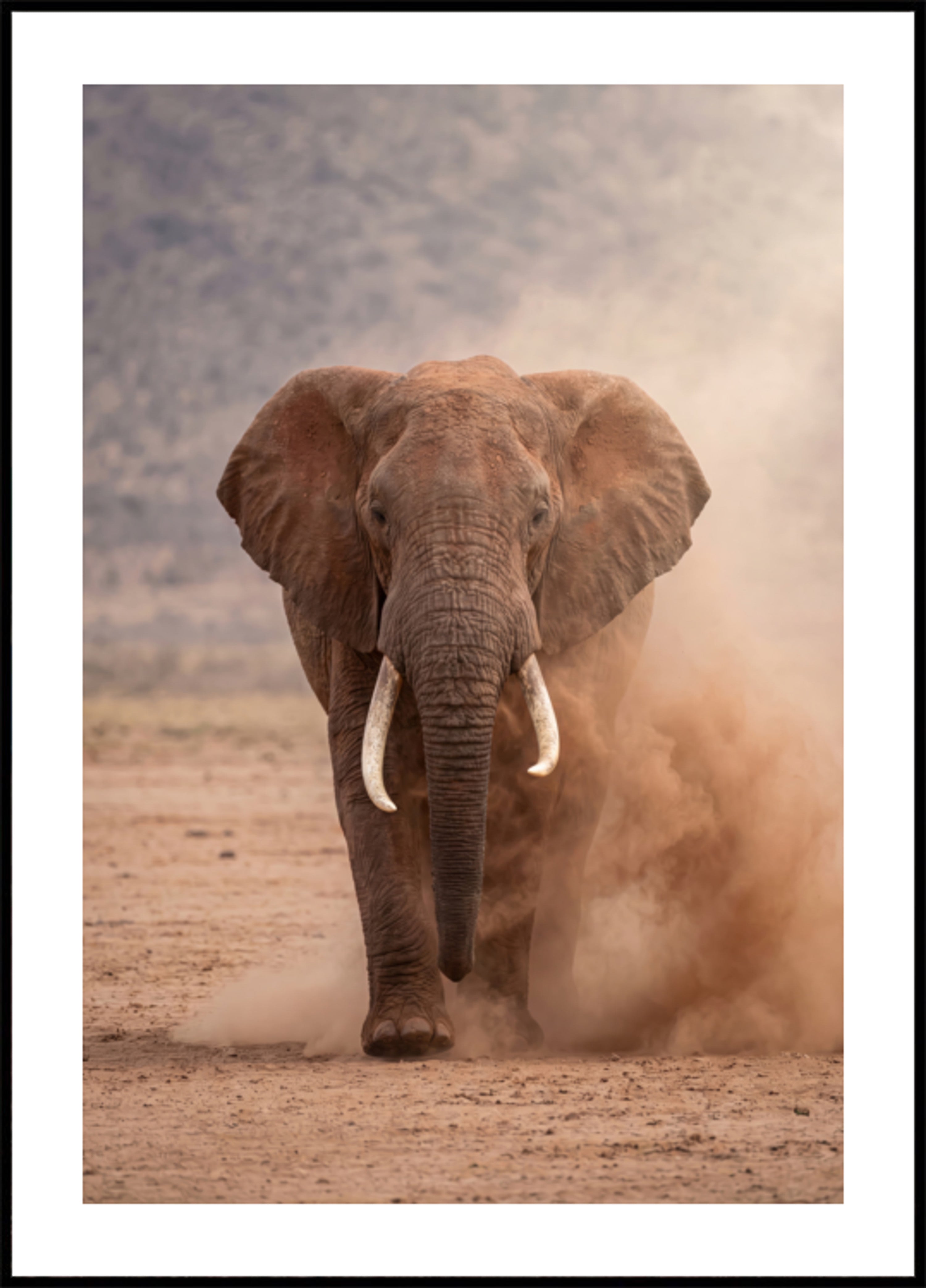 Krachtige stoffige olifant