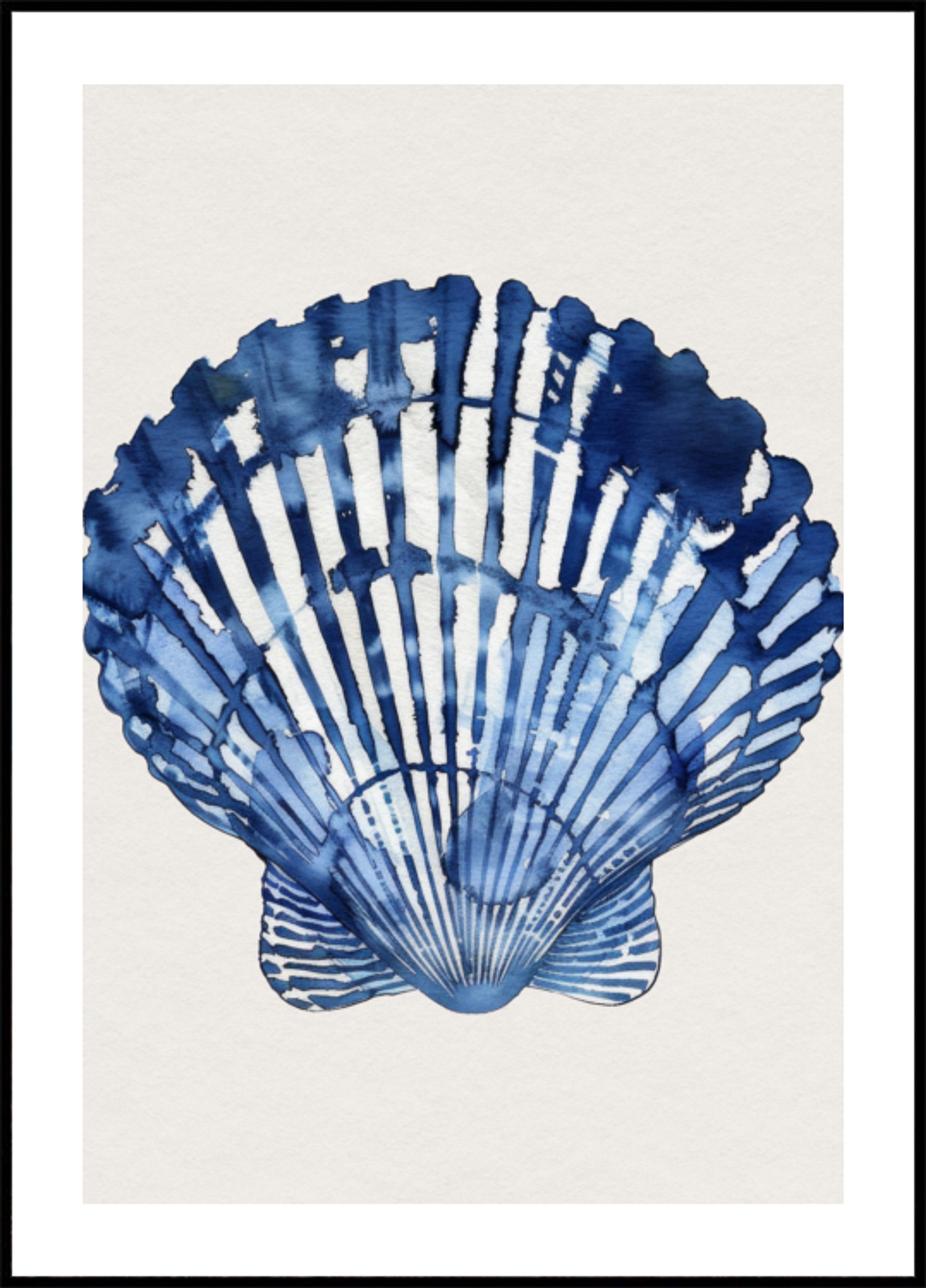 Indigo Zeeschelp