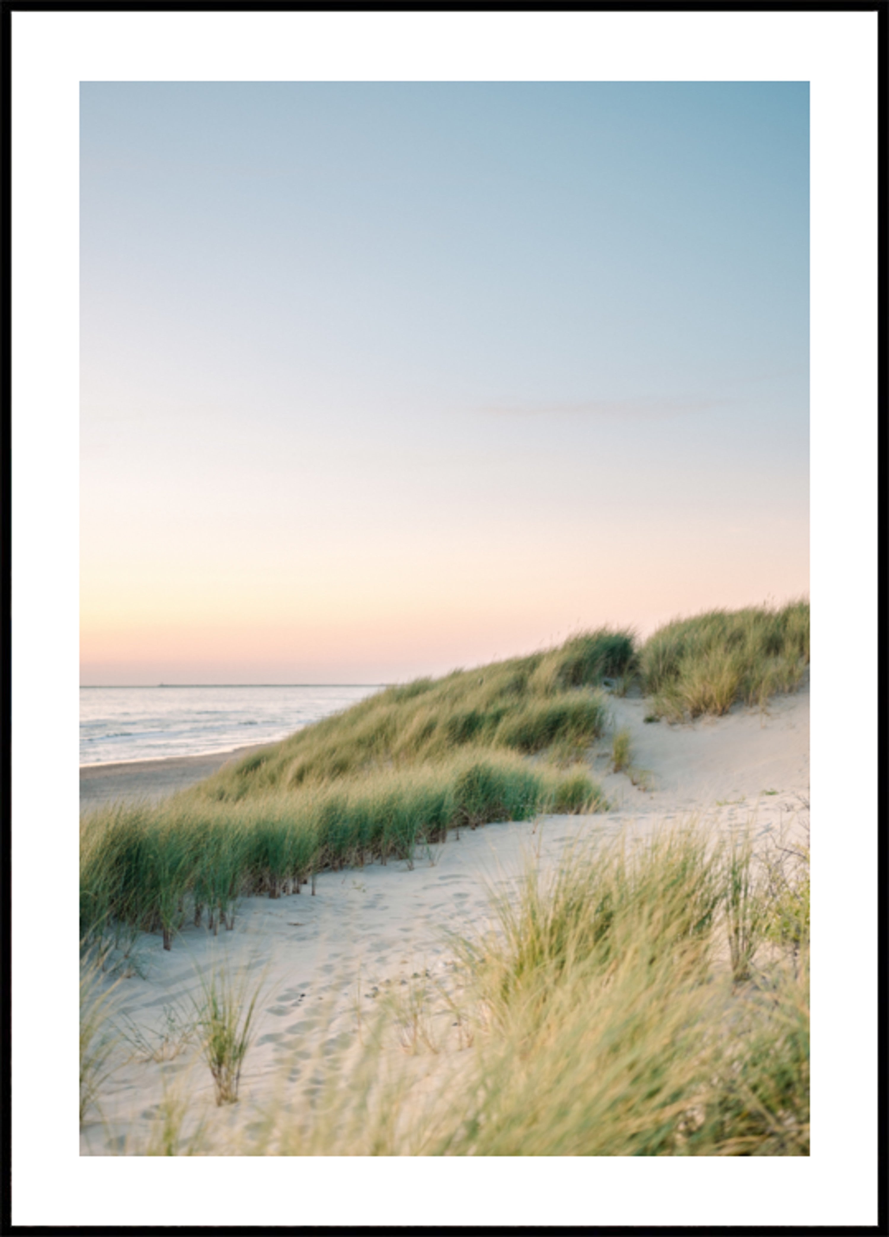 Nederlandse Duinen