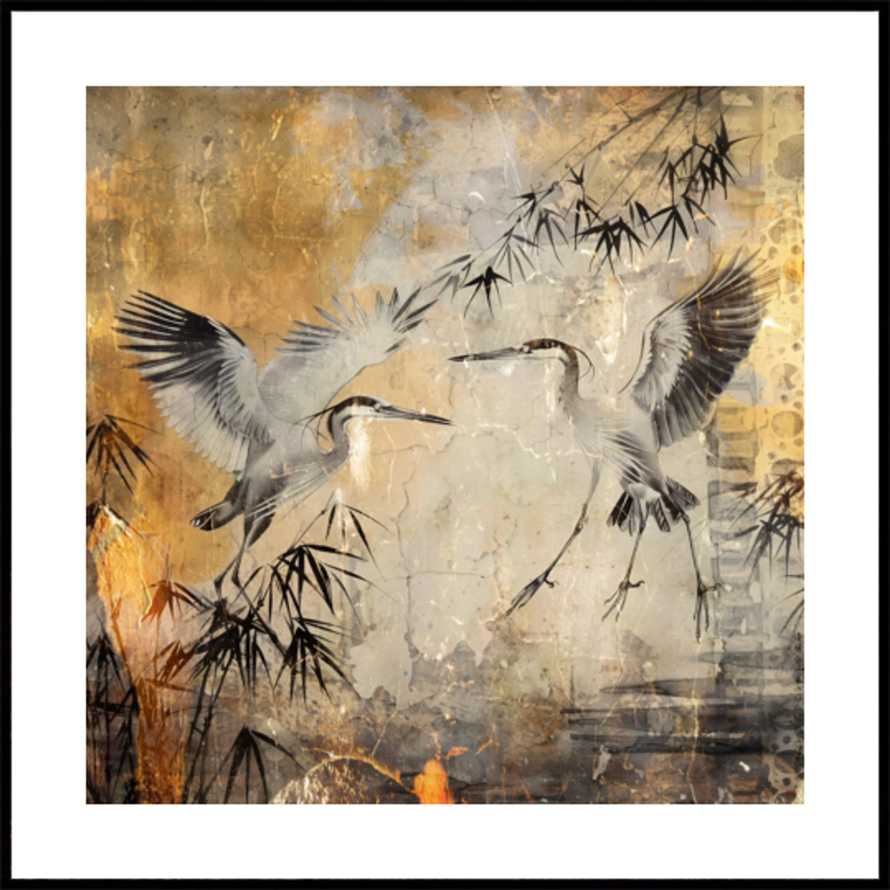 Vogel Vogels Dier Vintage Kunst Illustratie Wallart 25