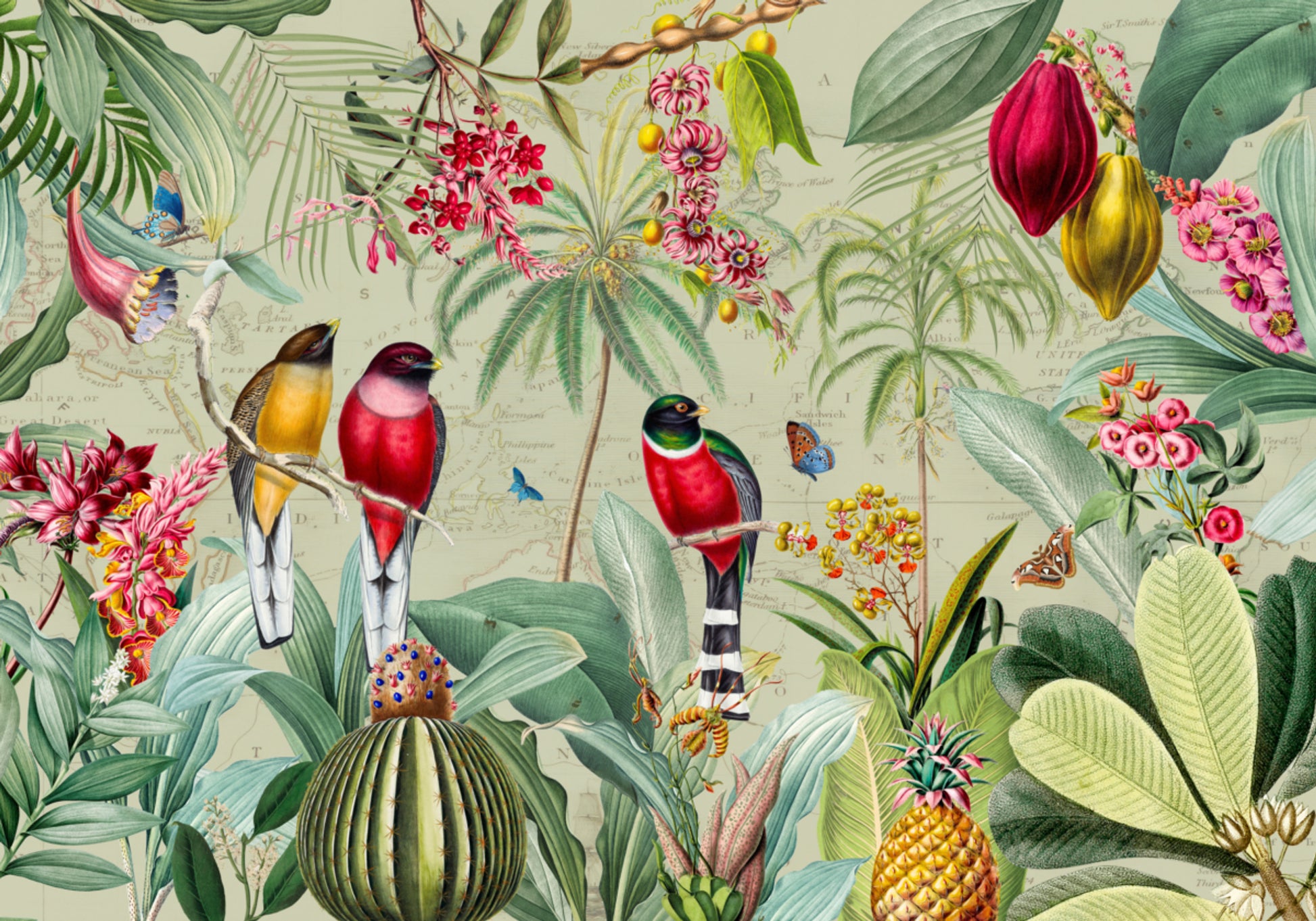 Tropische junglevogels