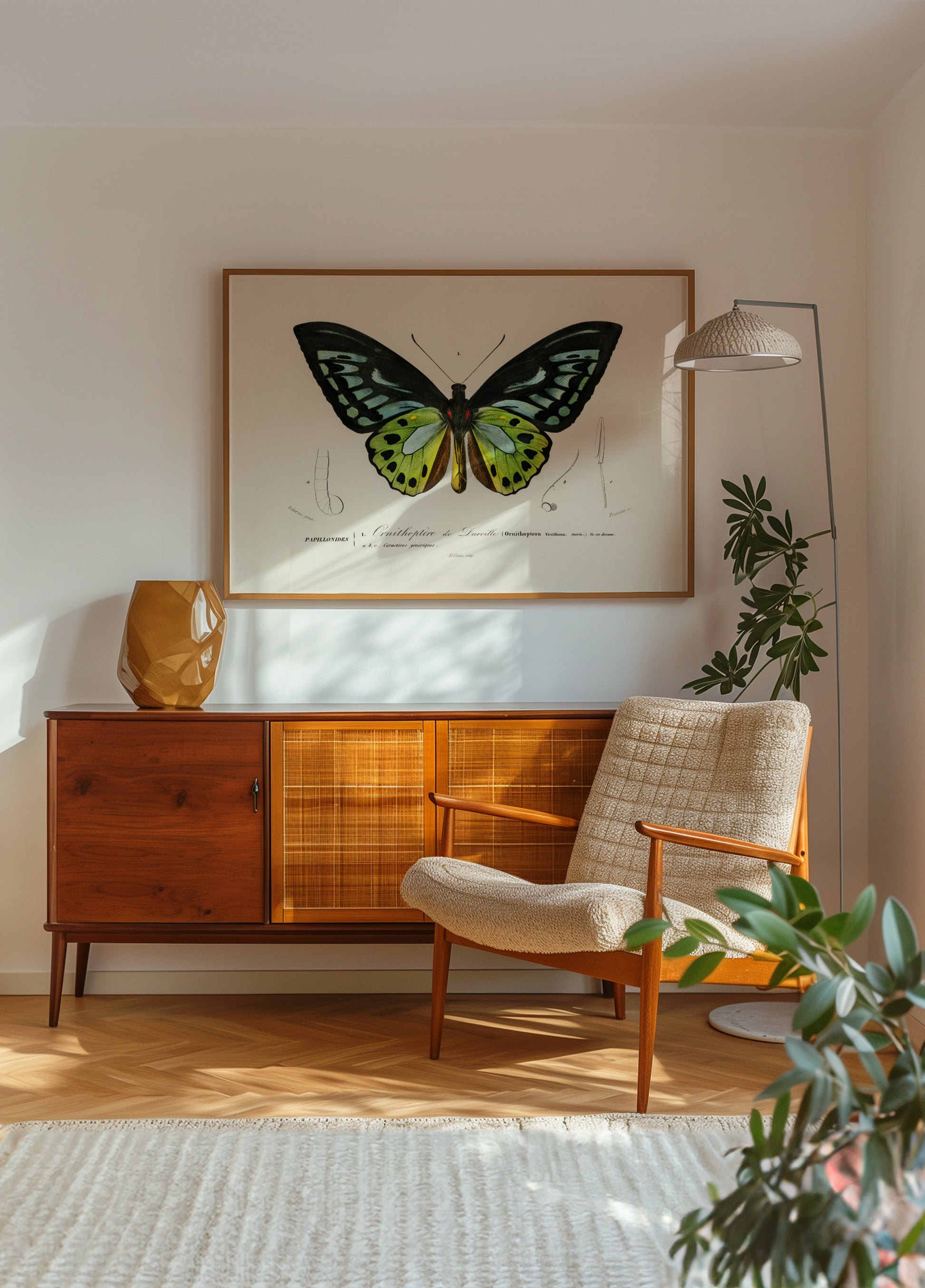 Groene Birdwing-vlinder