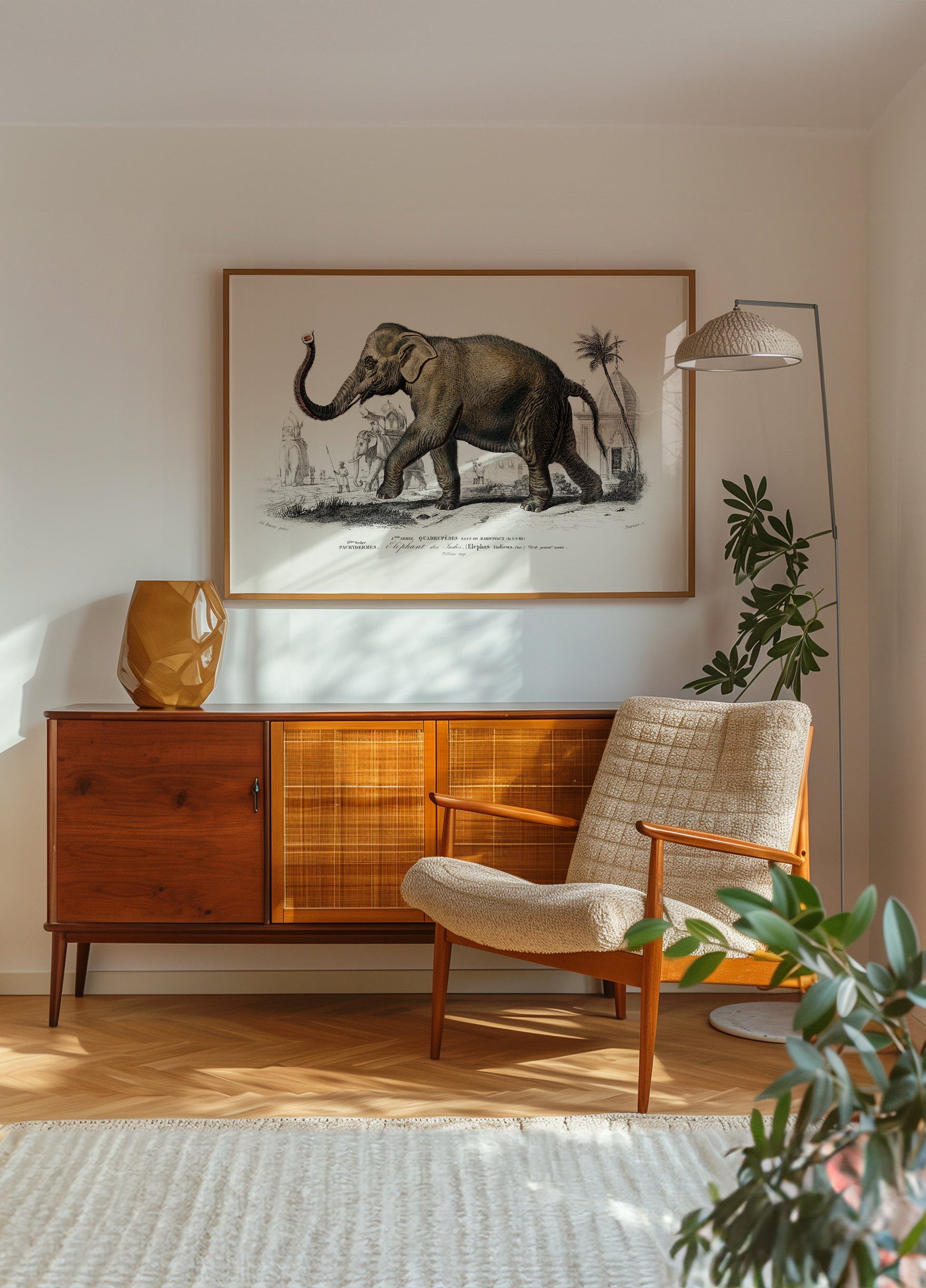 Aziatische olifant