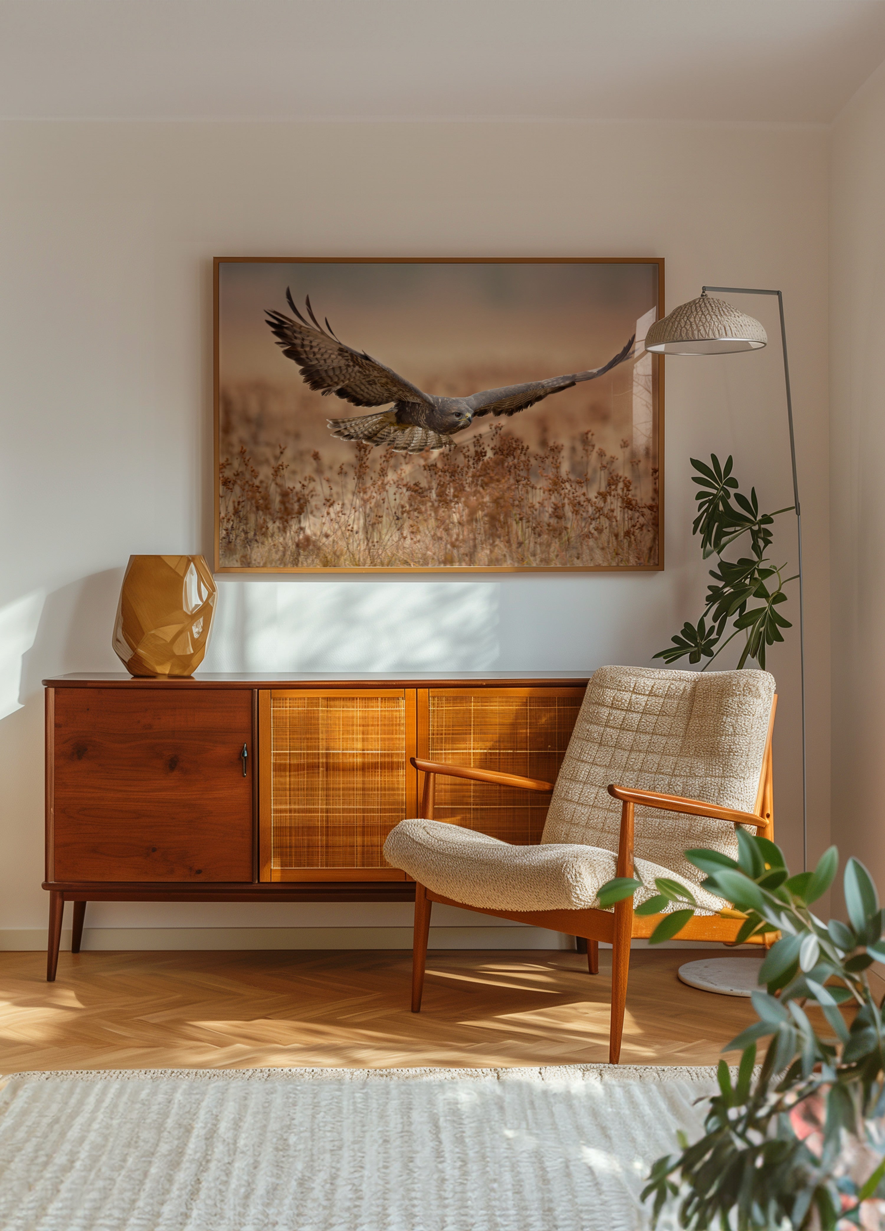 Majestueuze Havik Tijdens De Vlucht