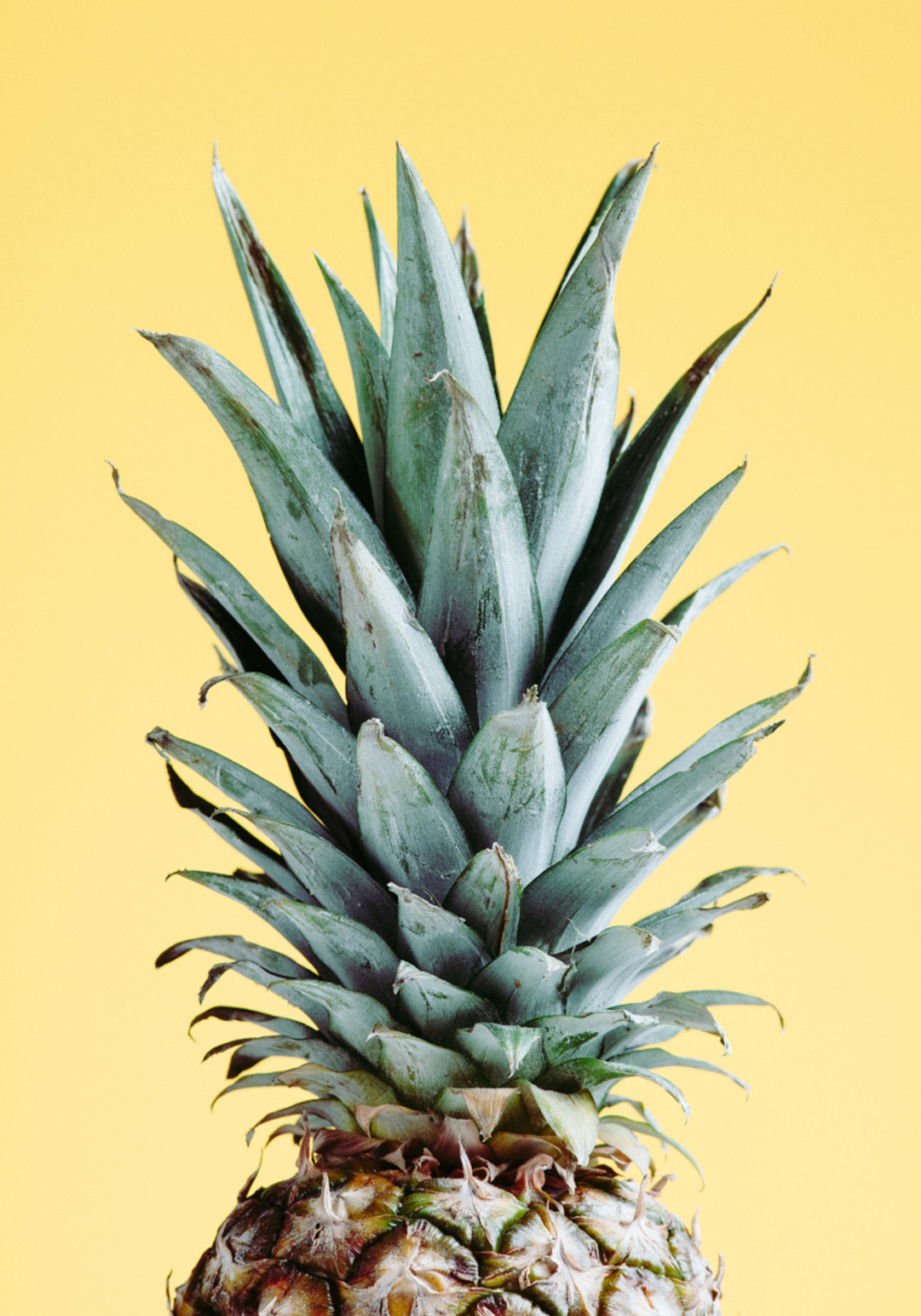 Tropisch Ananas Geel