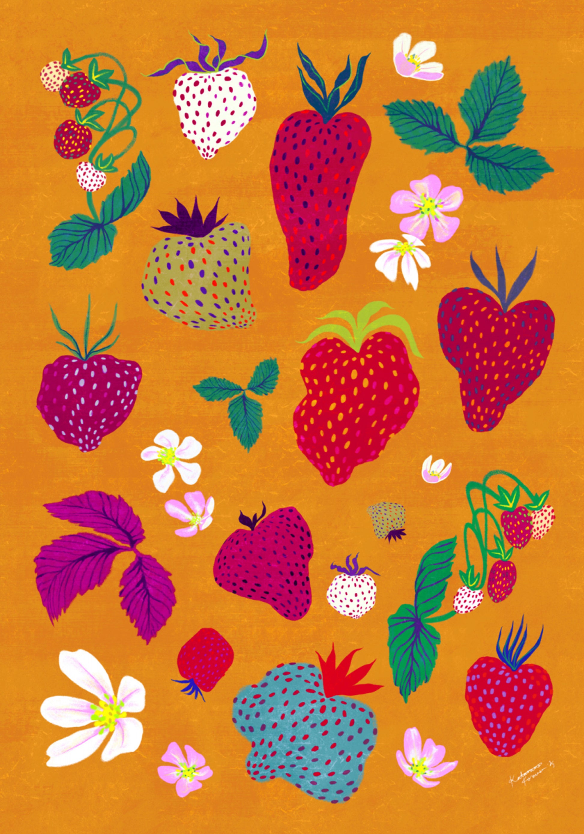 Kleurrijke Aardbeienpatch