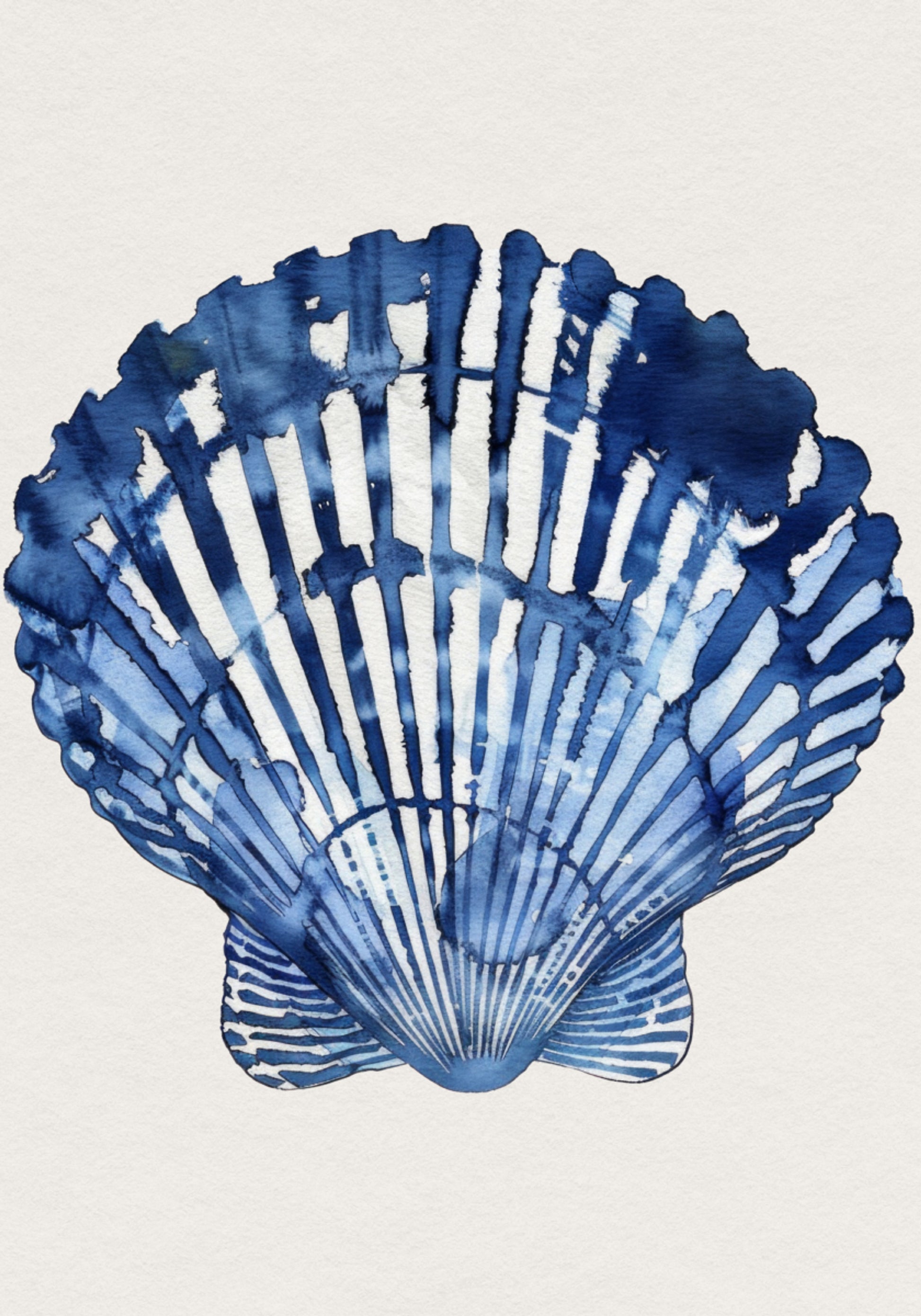 Indigo Zeeschelp