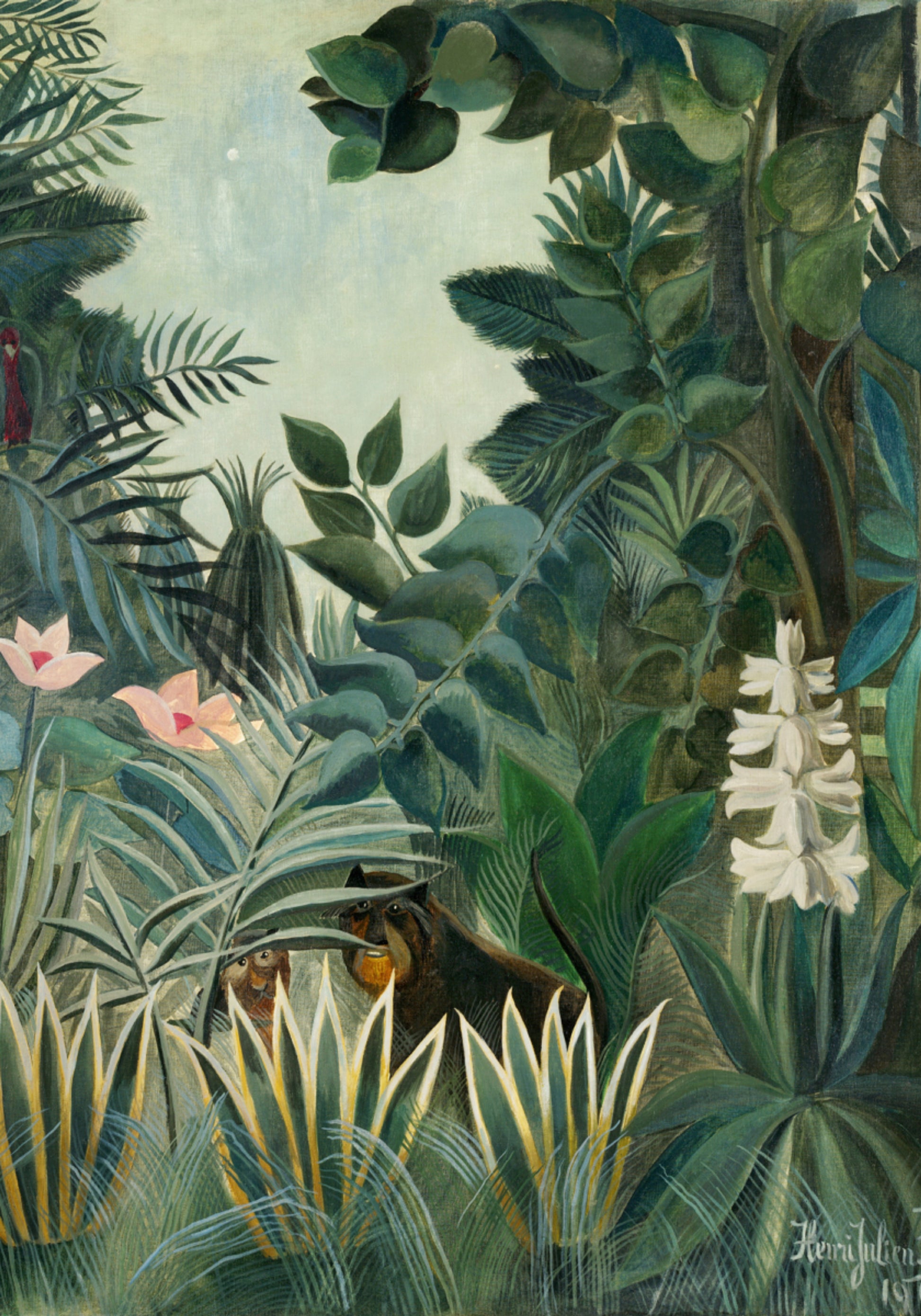 De Equatoriale Jungle