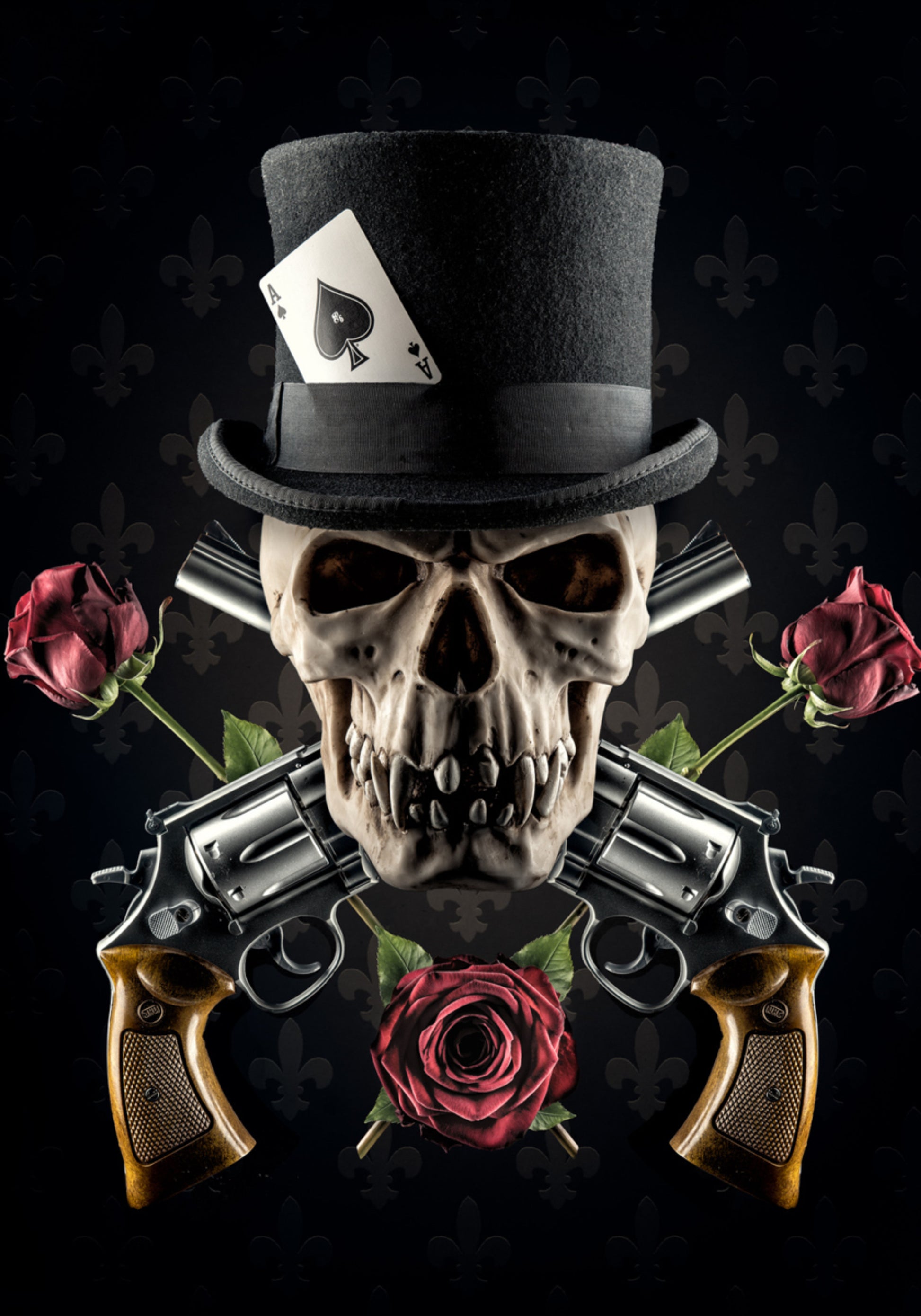 Elegante scherpschutterschedel