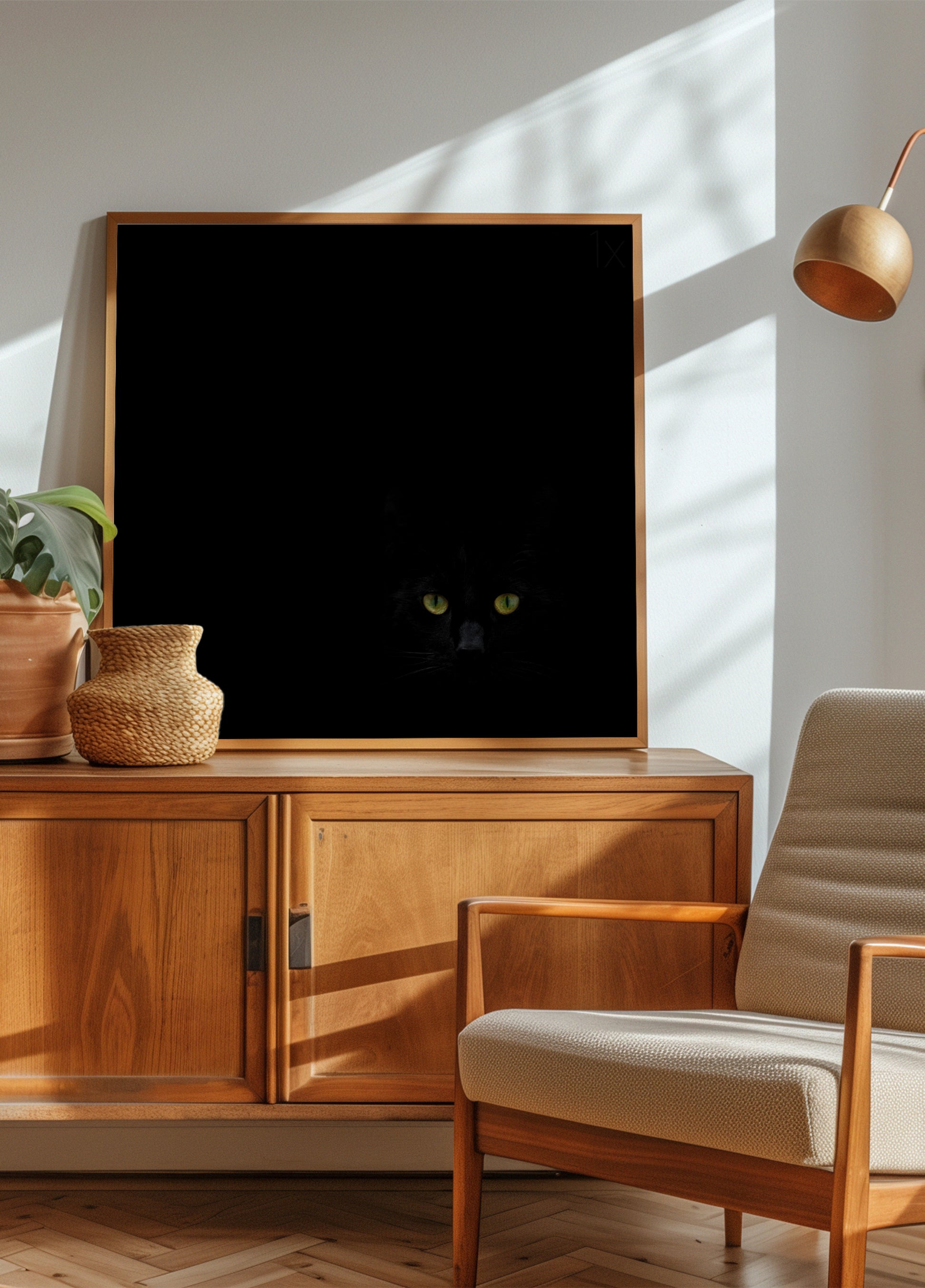 De blik van de zwarte kat