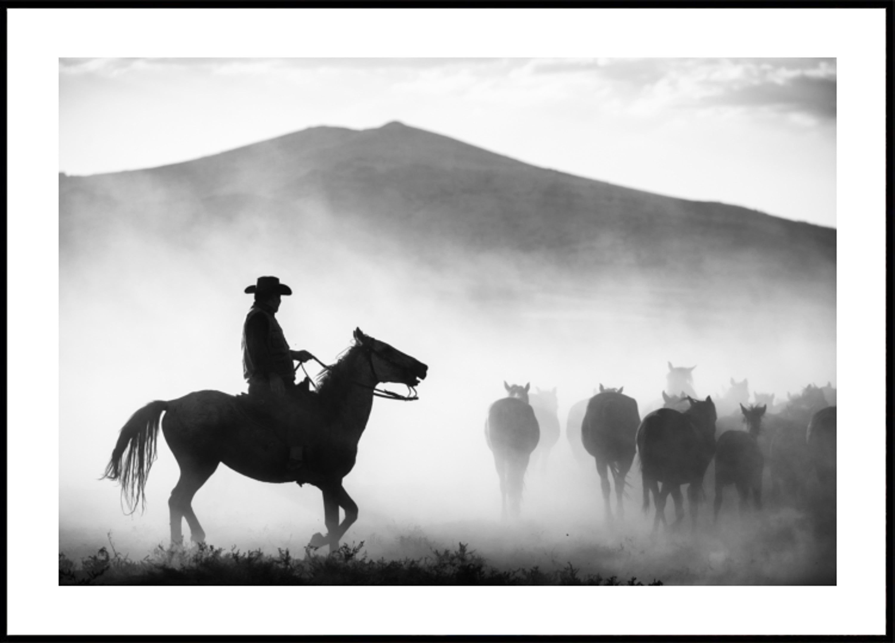 Cowboyhoedende paarden