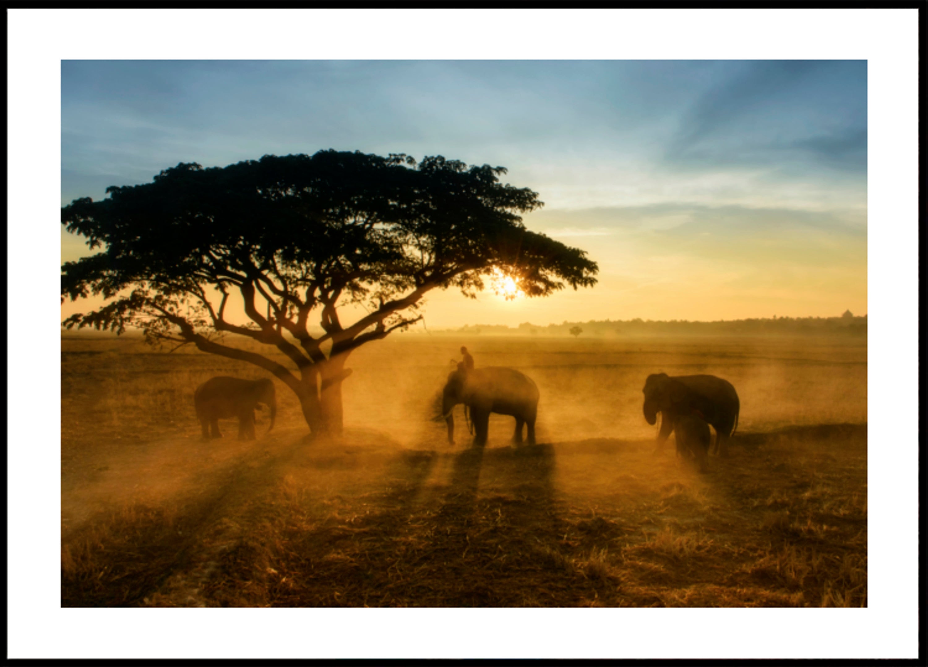 De gouden zonsondergang van de olifant