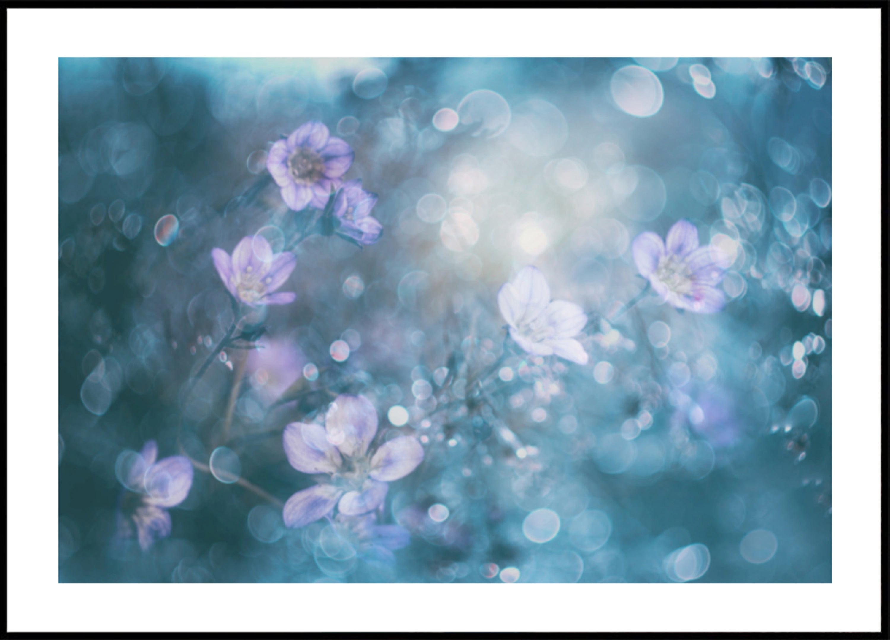 Dromerige Bokeh-bloemen