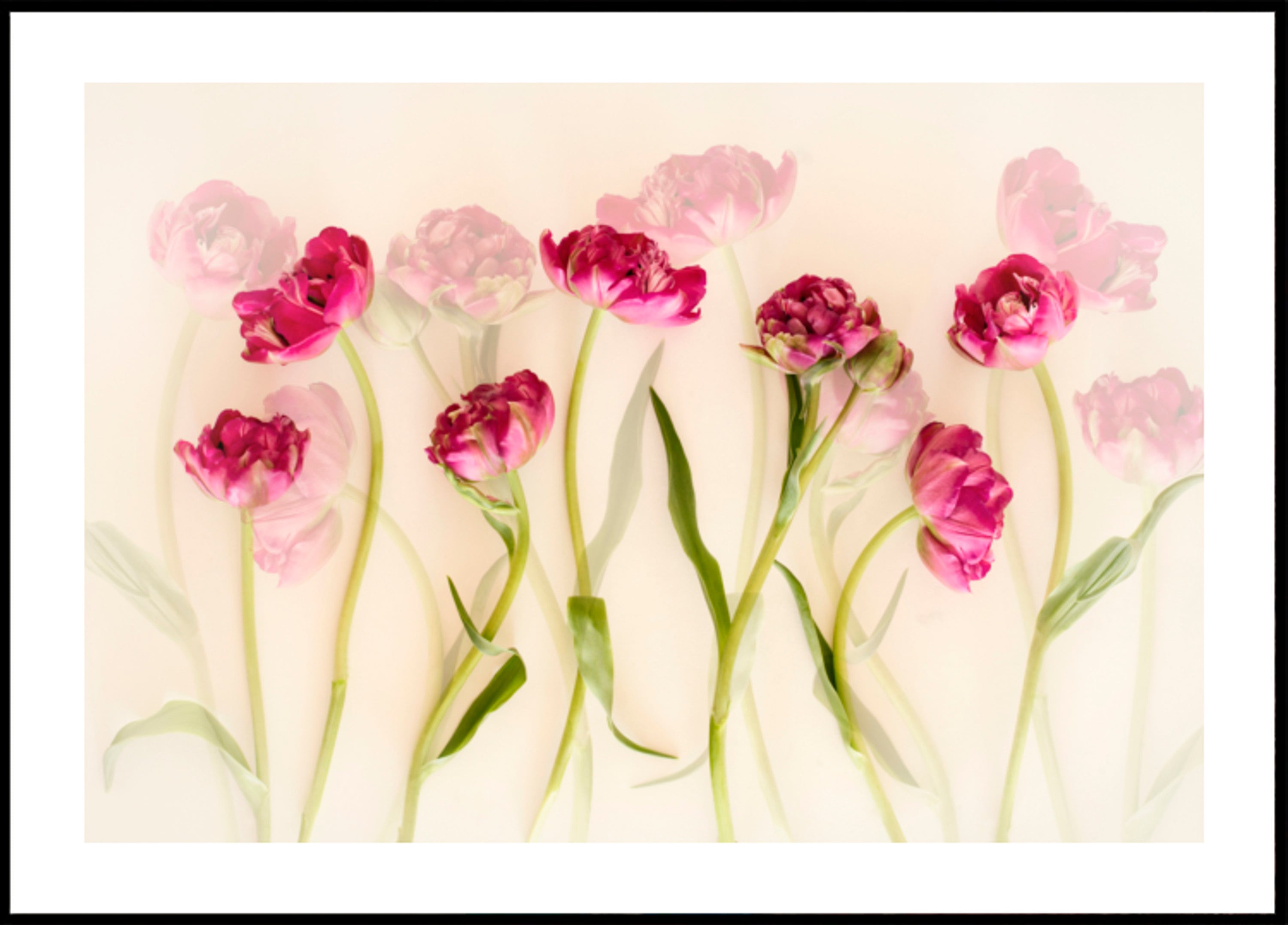 Dromerige roze tulpen